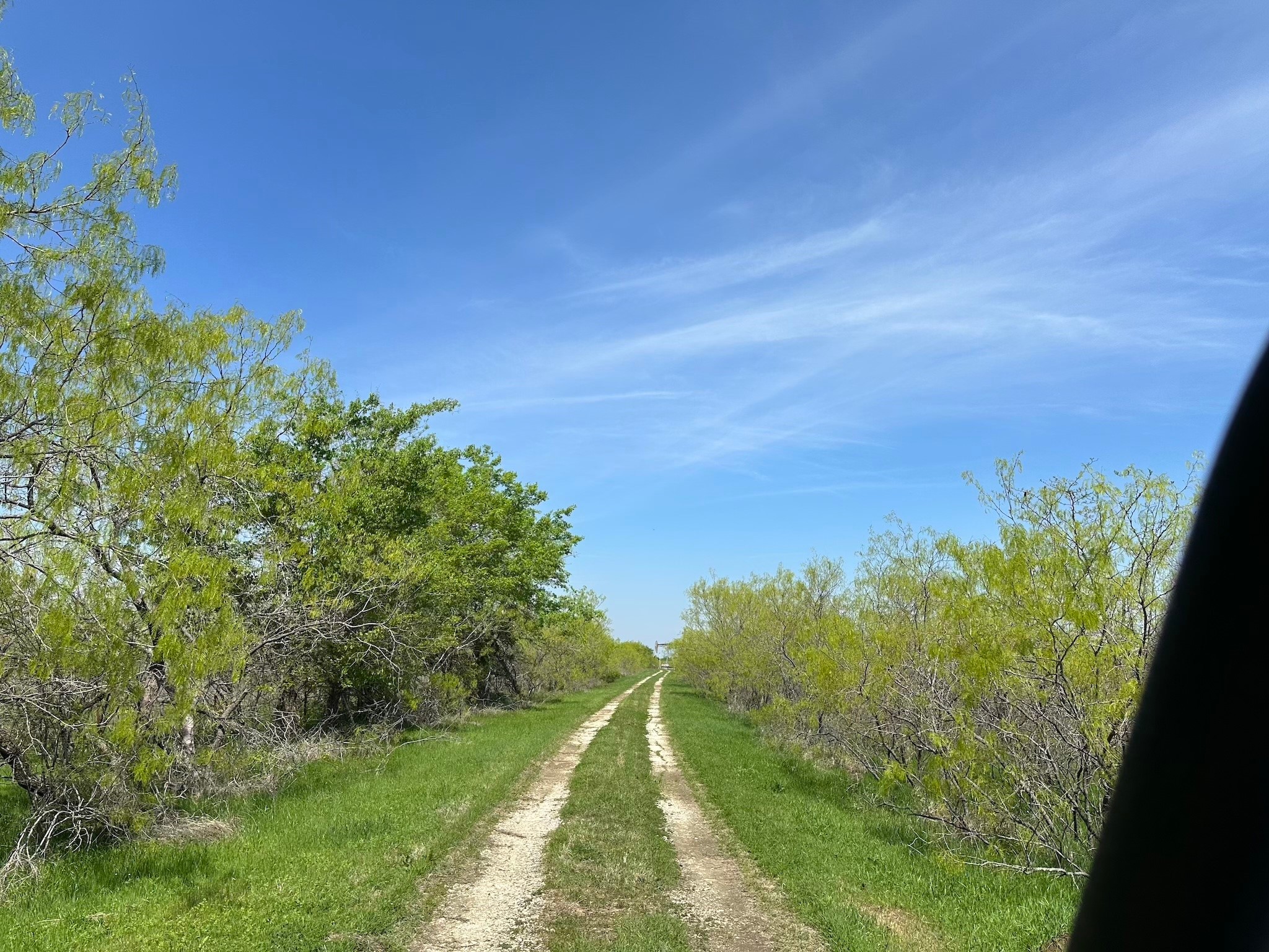 Tbd 149.71 Acres SE Cr 1240 Streetman TX 75859