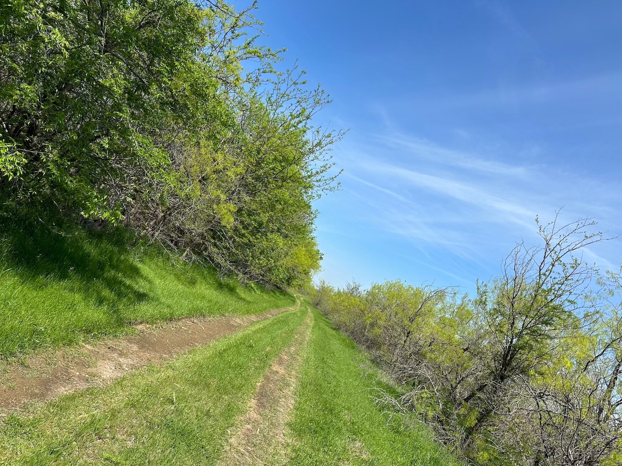 Tbd 149.71 Acres SE Cr 1240 Streetman TX 75859