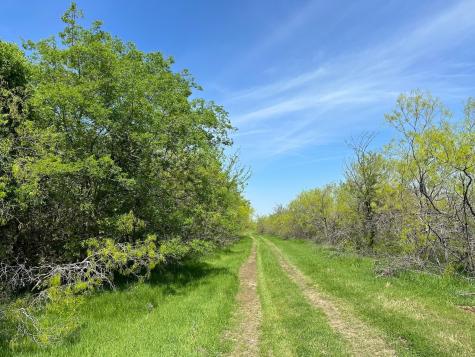Tbd 149.71 Acres SE Cr 1240 Streetman TX 75859