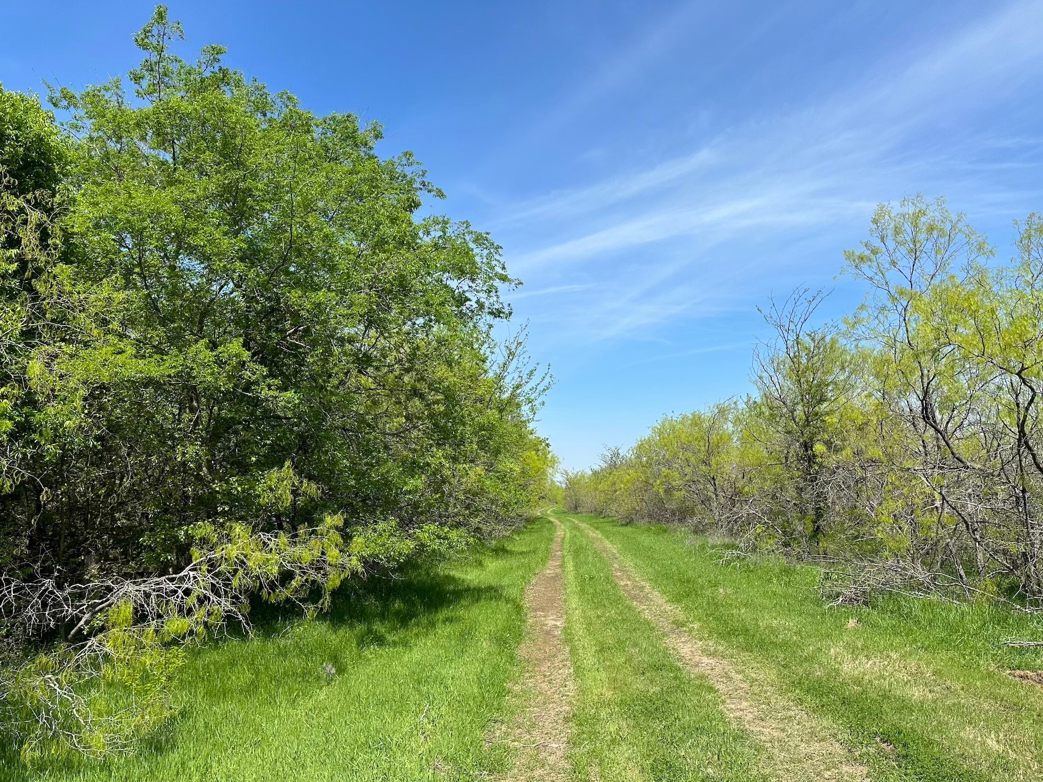 Tbd 149.71 Acres SE Cr 1240 Streetman TX 75859