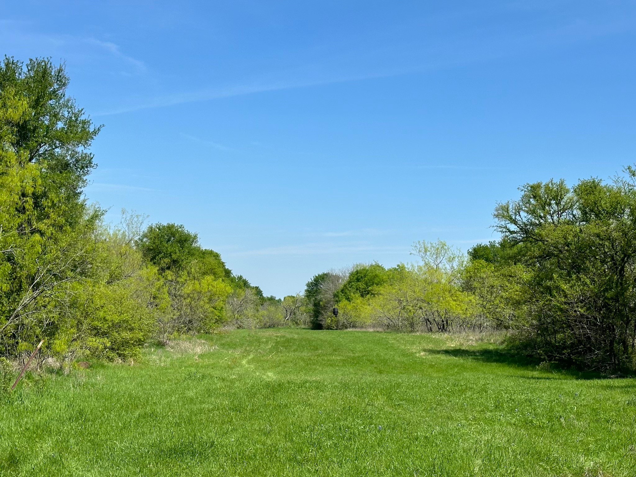 Tbd 149.71 Acres SE Cr 1240 Streetman TX 75859