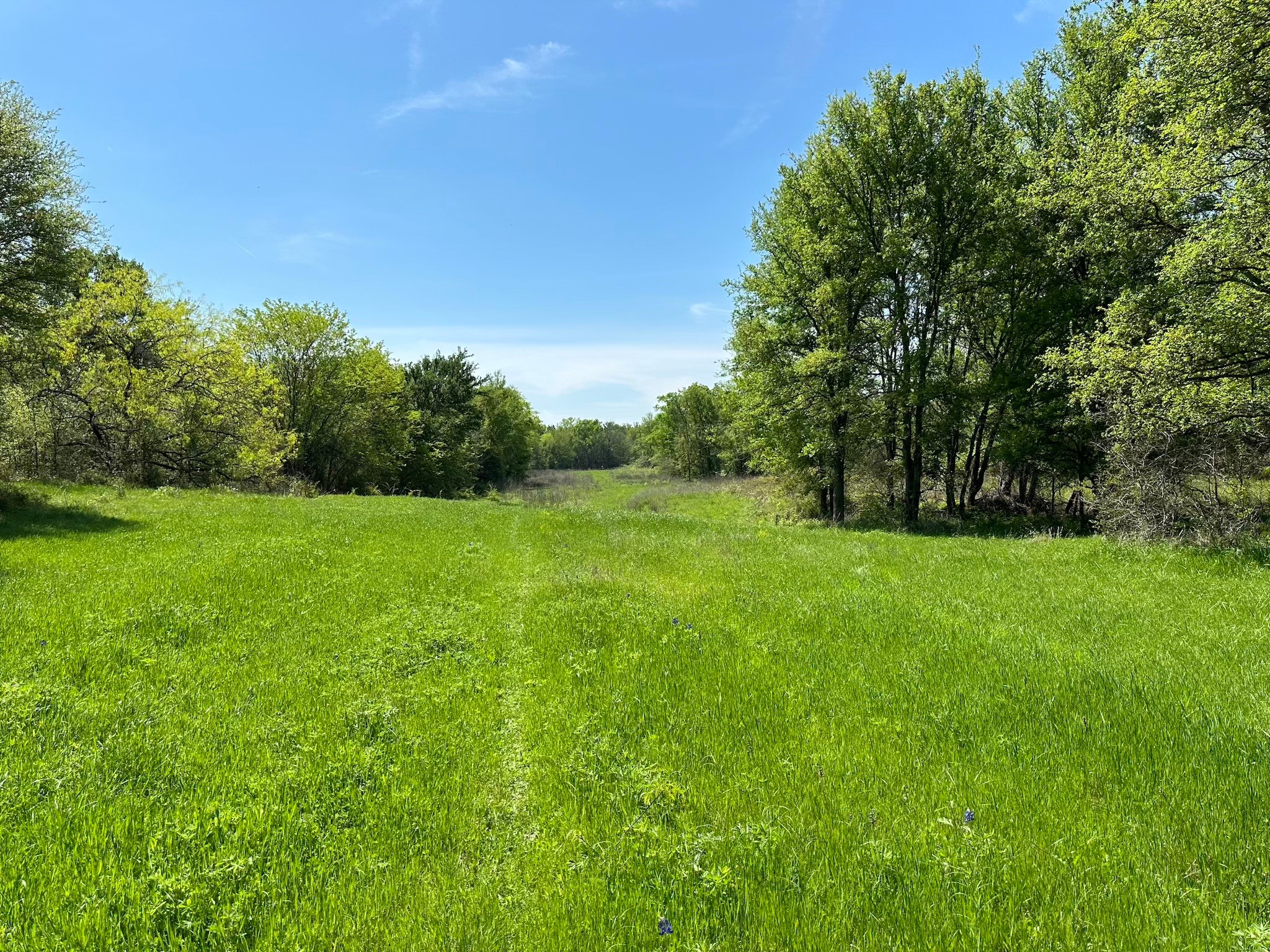 Tbd 149.71 Acres SE Cr 1240 Streetman TX 75859