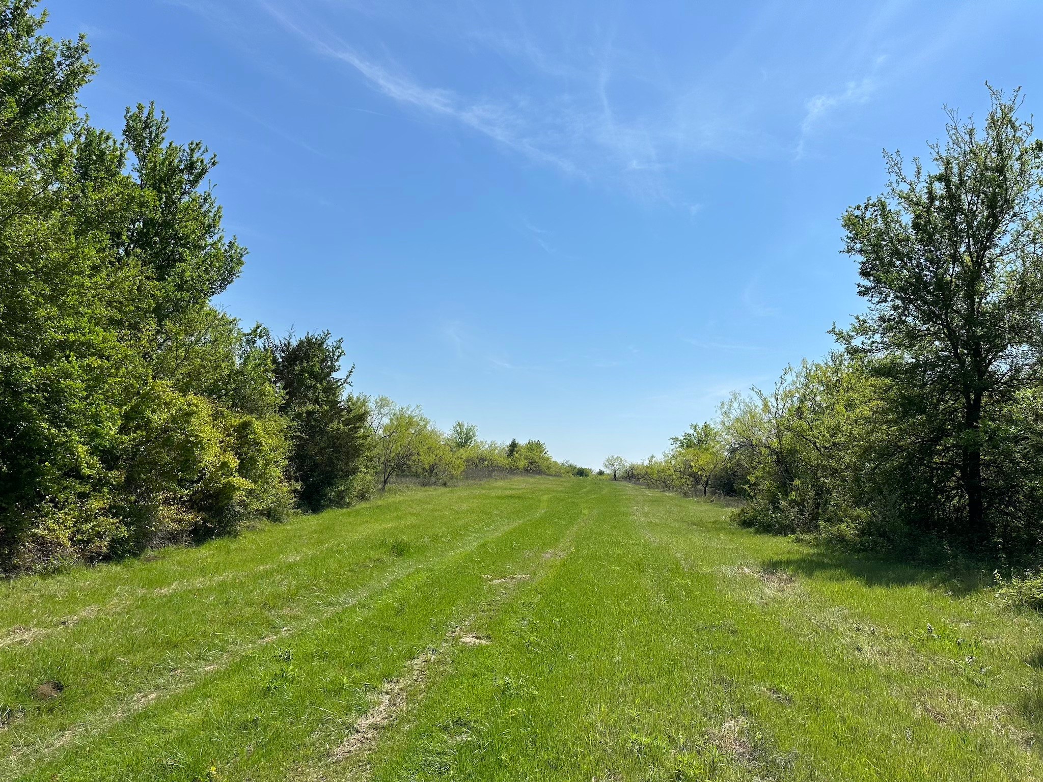 Tbd 149.71 Acres SE Cr 1240 Streetman TX 75859