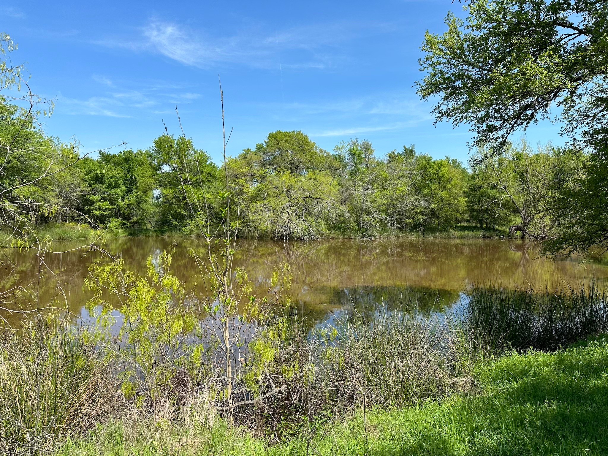 Tbd 149.71 Acres SE Cr 1240 Streetman TX 75859