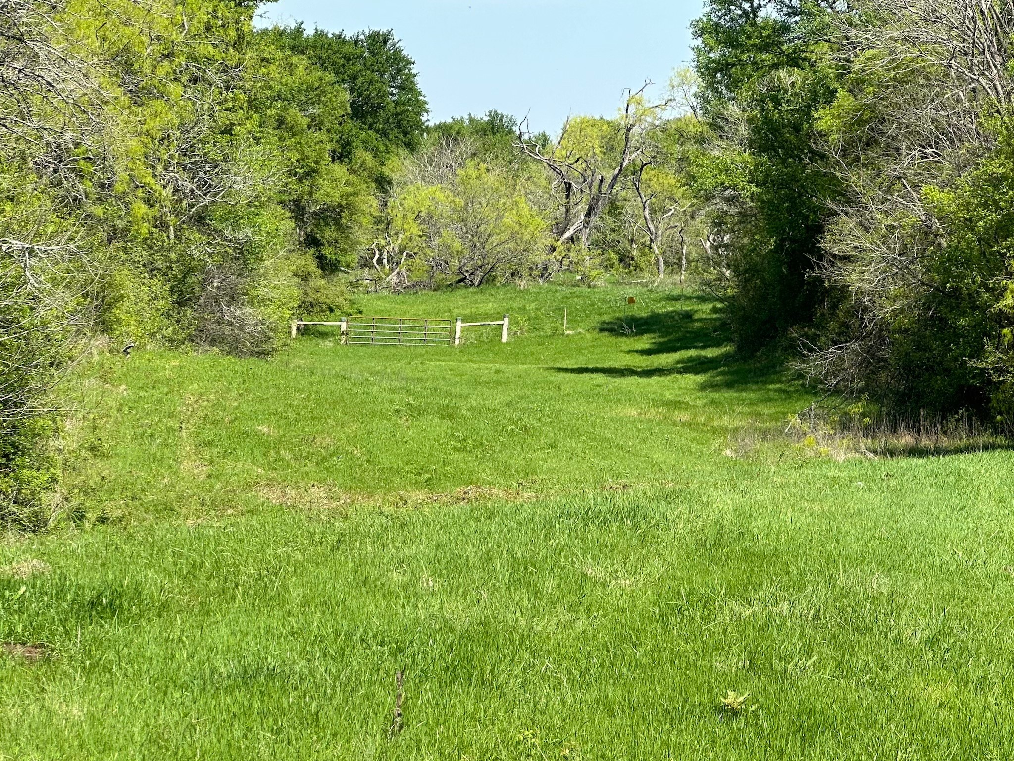 Tbd 149.71 Acres SE Cr 1240 Streetman TX 75859