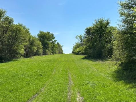 Tbd 149.71 Acres SE Cr 1240 Streetman TX 75859