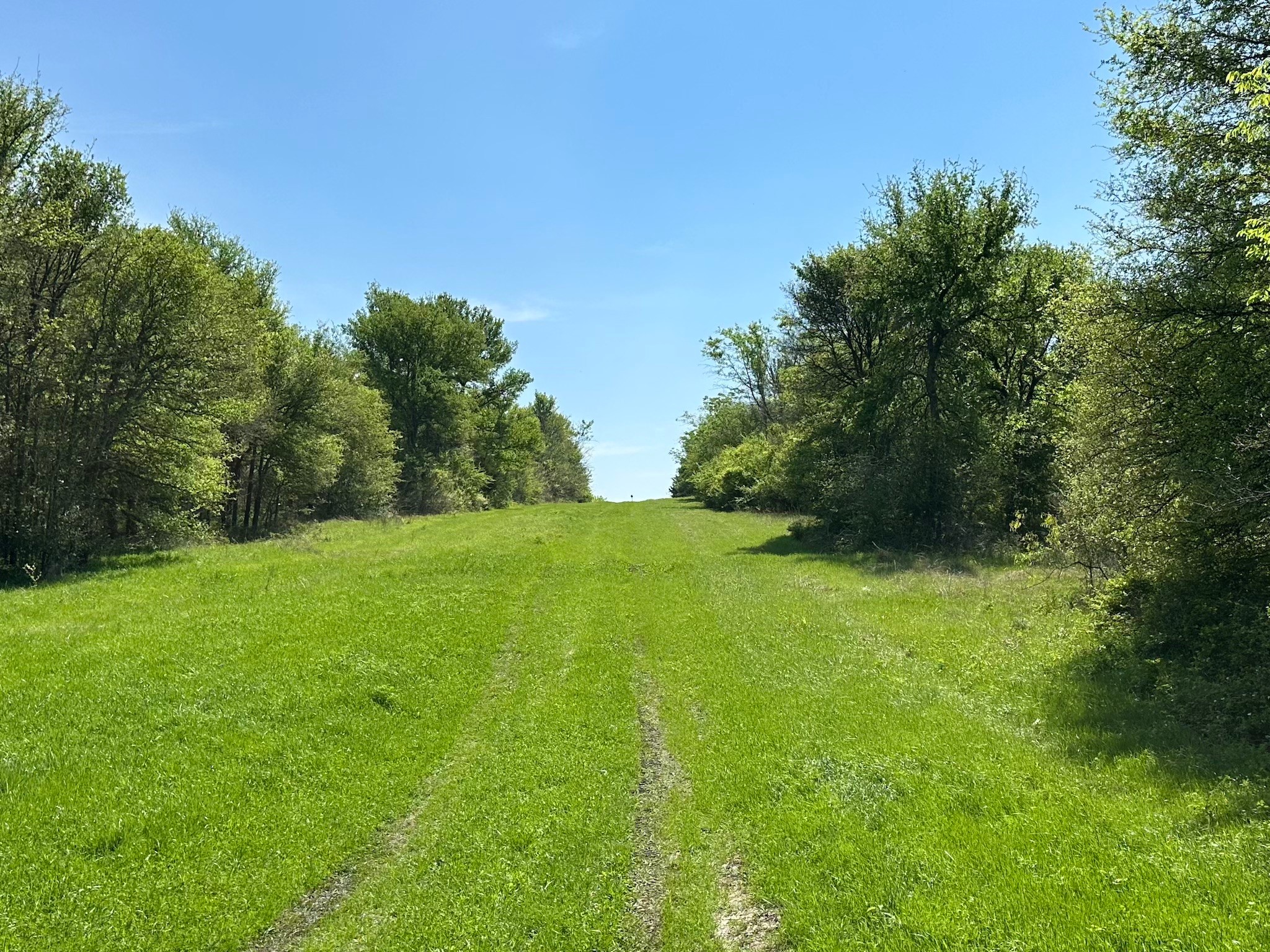 Tbd 149.71 Acres SE Cr 1240 Streetman TX 75859