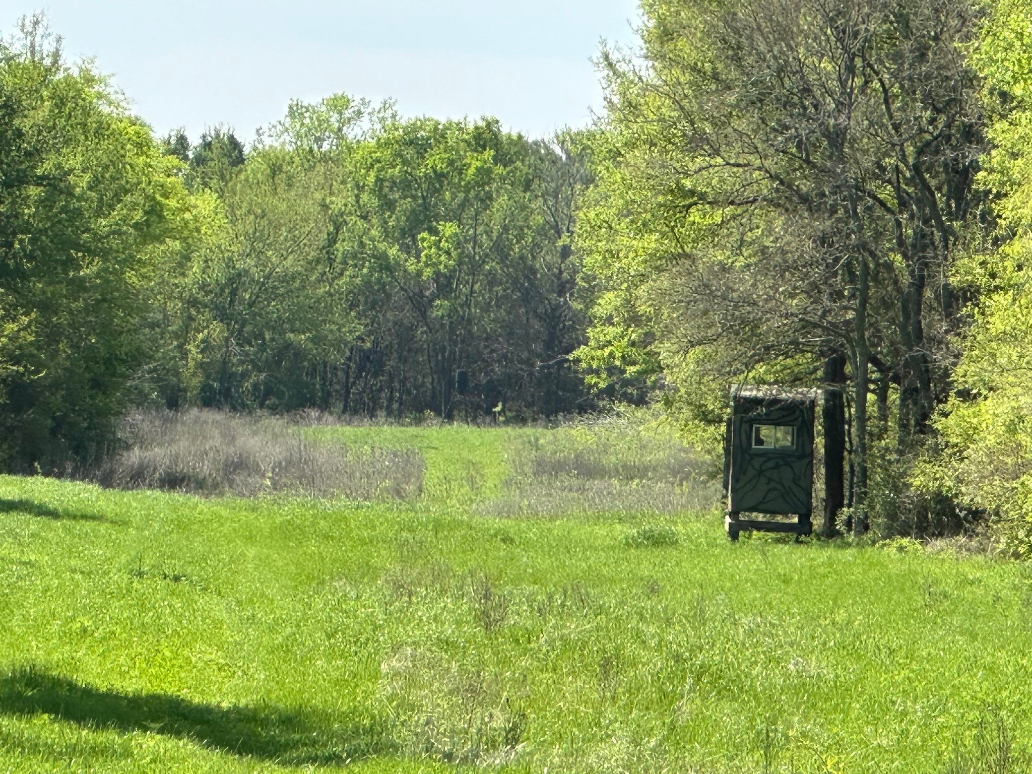 Tbd 149.71 Acres SE Cr 1240 Streetman TX 75859