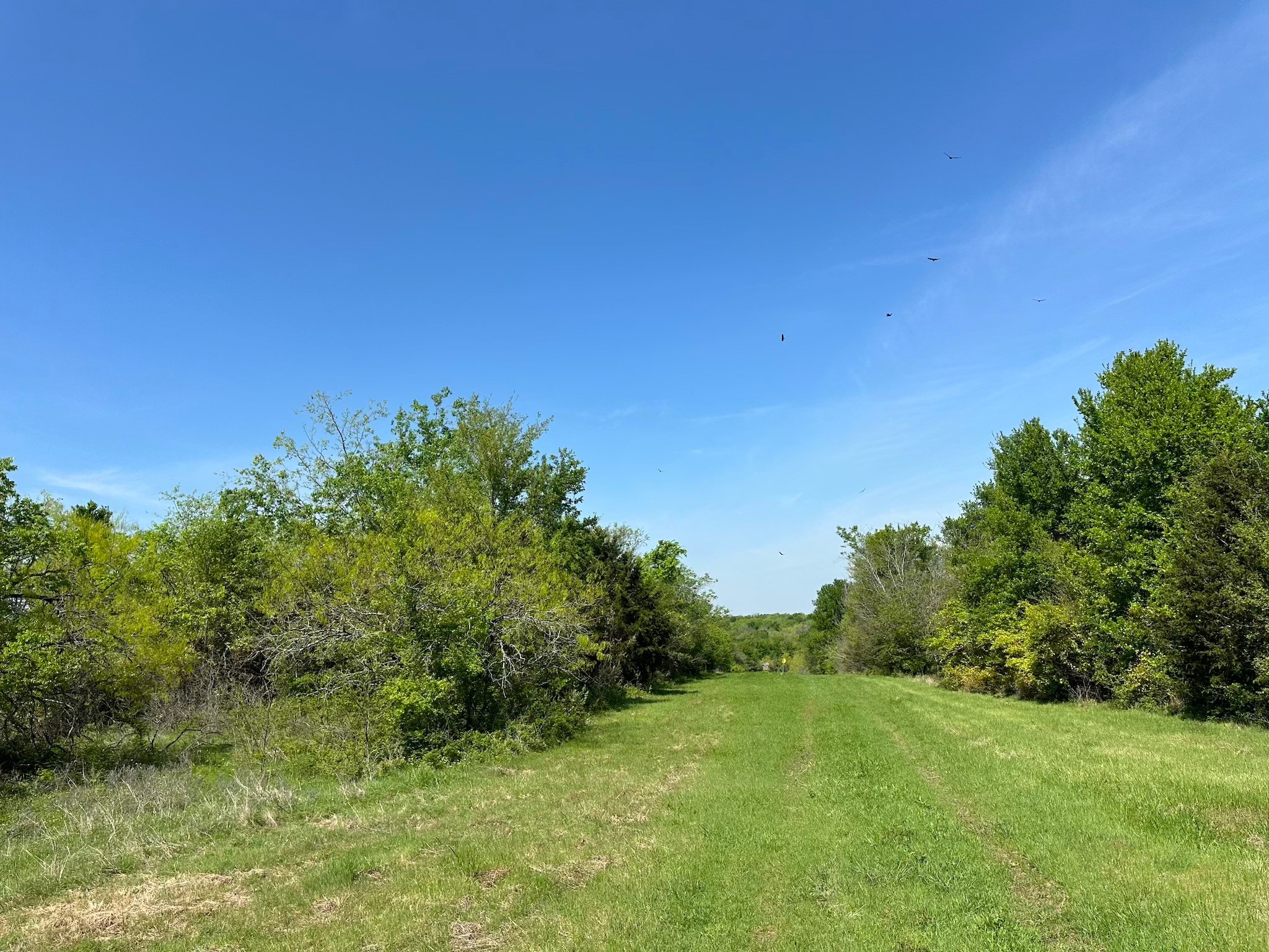 Tbd 149.71 Acres SE Cr 1240 Streetman TX 75859