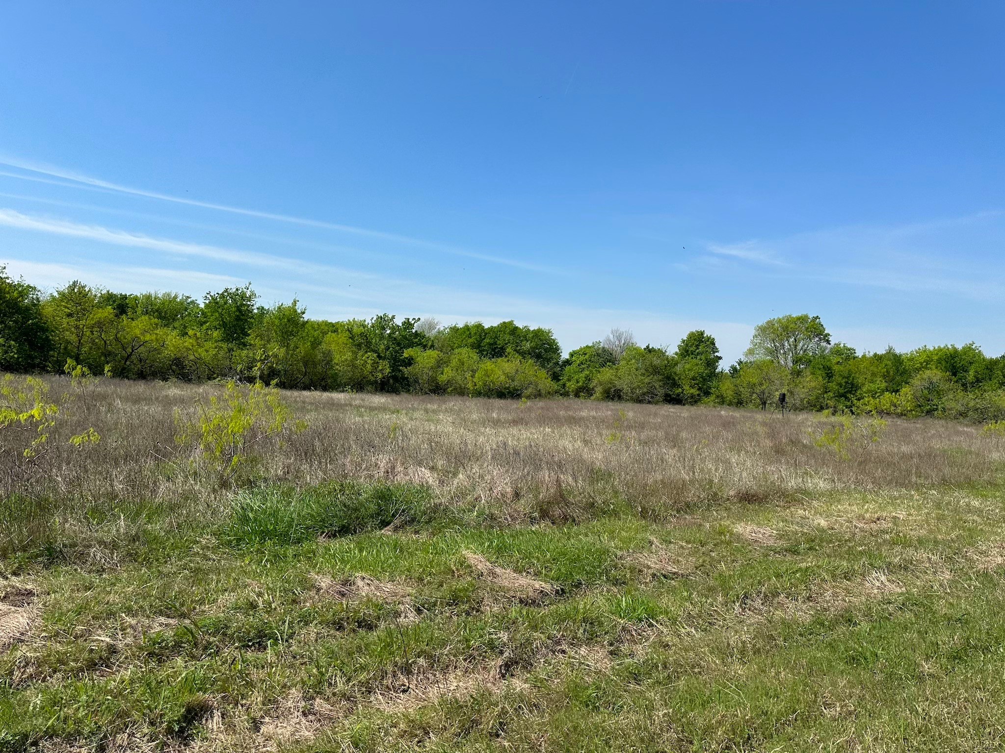 Tbd 149.71 Acres SE Cr 1240 Streetman TX 75859