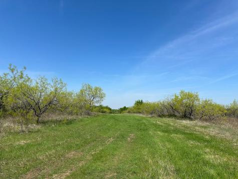 Tbd 149.71 Acres SE Cr 1240 Streetman TX 75859