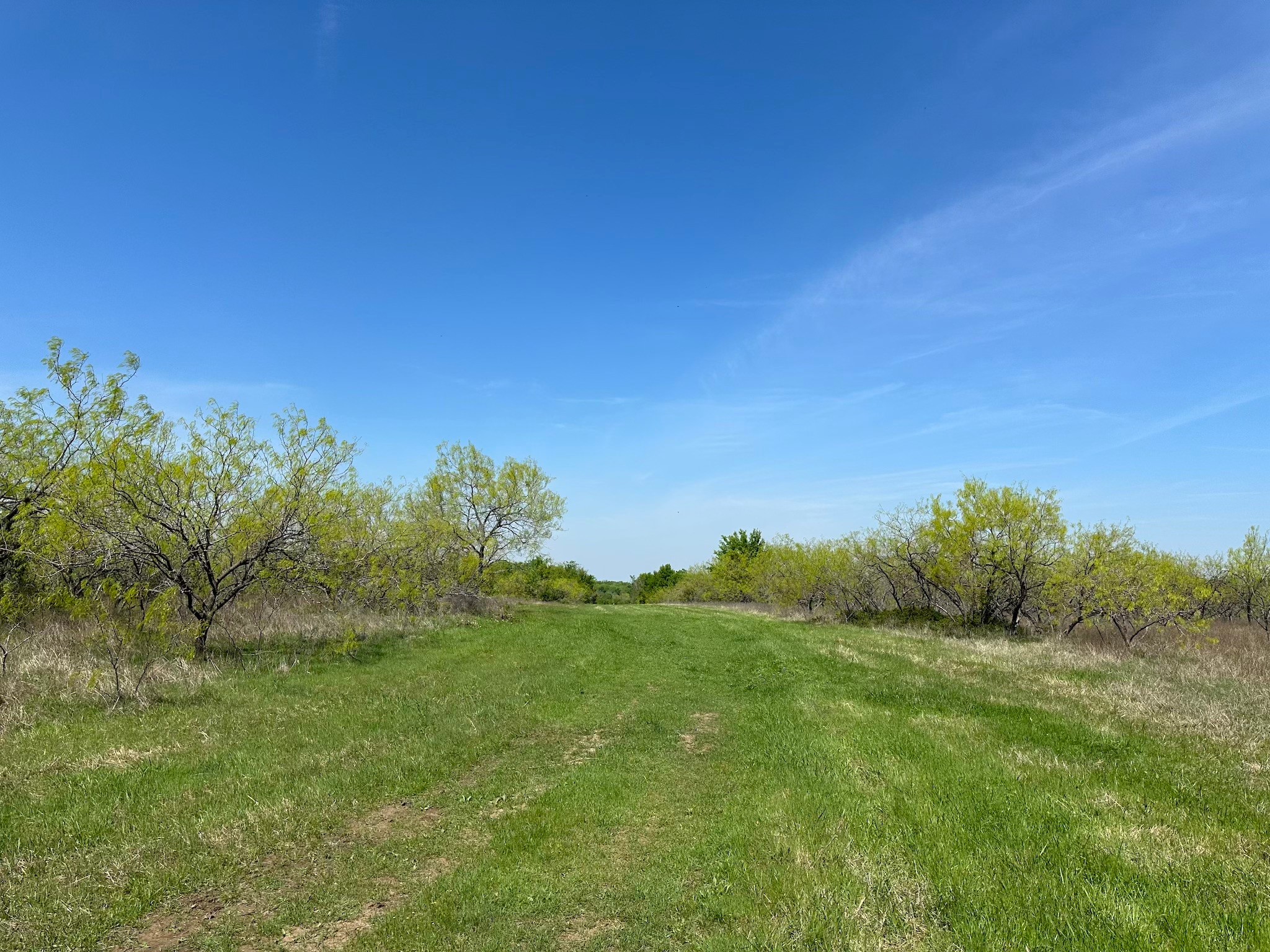 Tbd 149.71 Acres SE Cr 1240 Streetman TX 75859