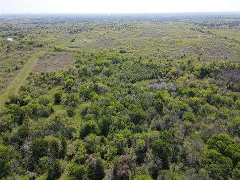 Tbd 149.71 Acres SE Cr 1240 Streetman TX 75859