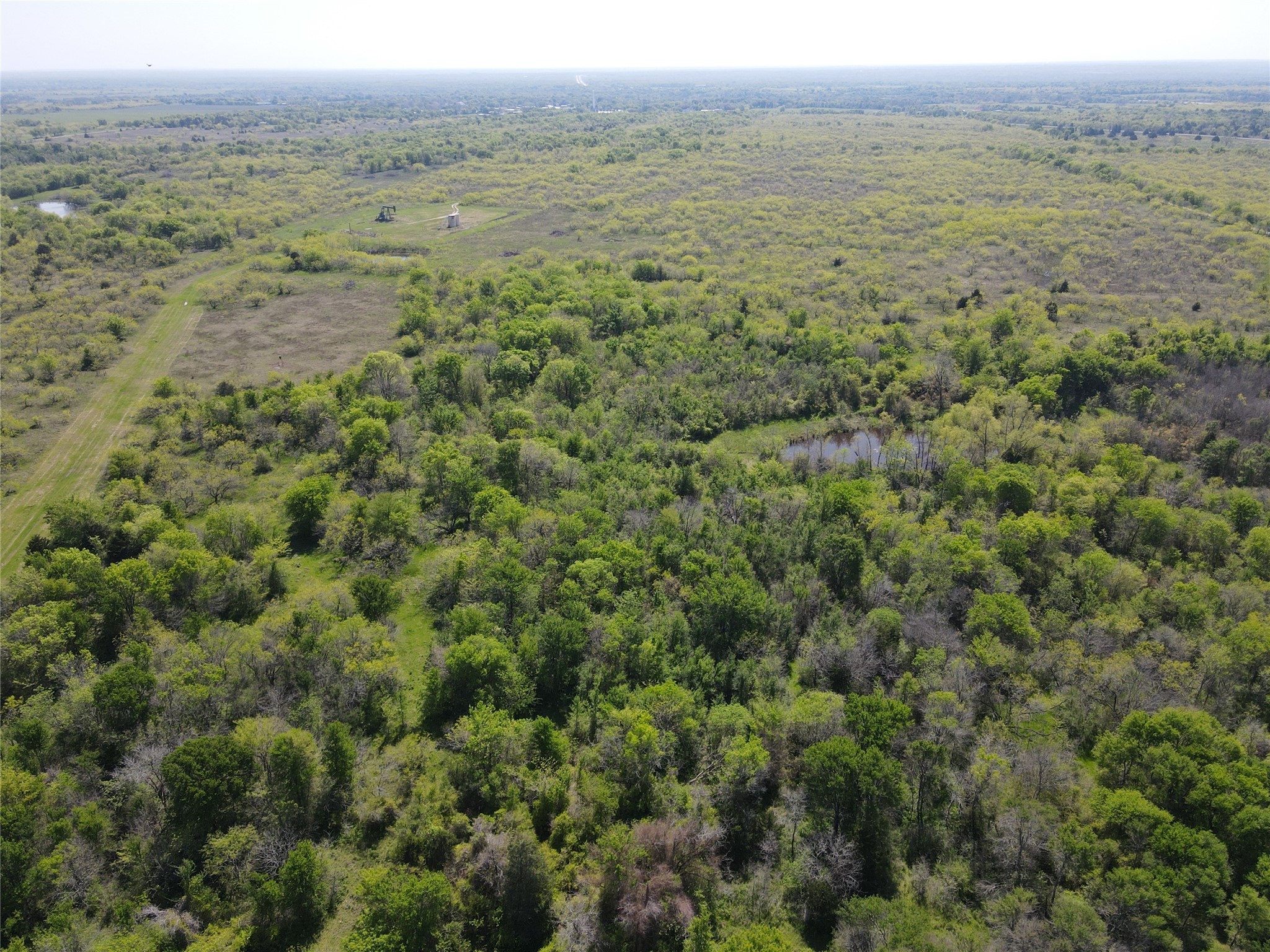 Tbd 149.71 Acres SE Cr 1240 Streetman TX 75859