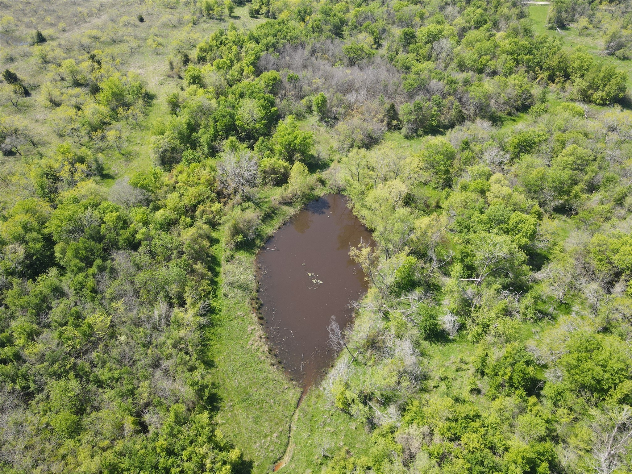 Tbd 149.71 Acres SE Cr 1240 Streetman TX 75859