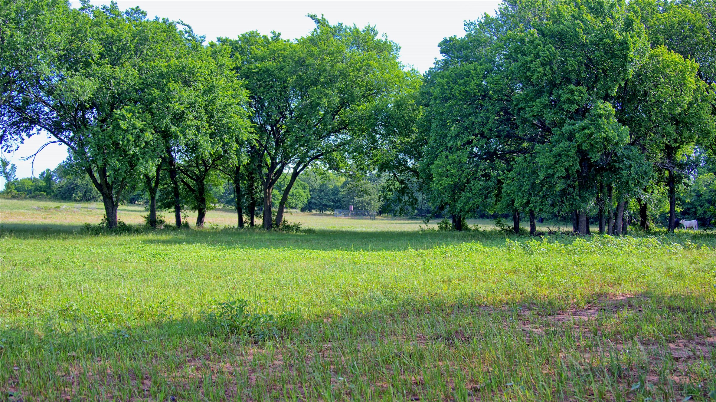 16194 Fm 1816 Nocona TX 76255