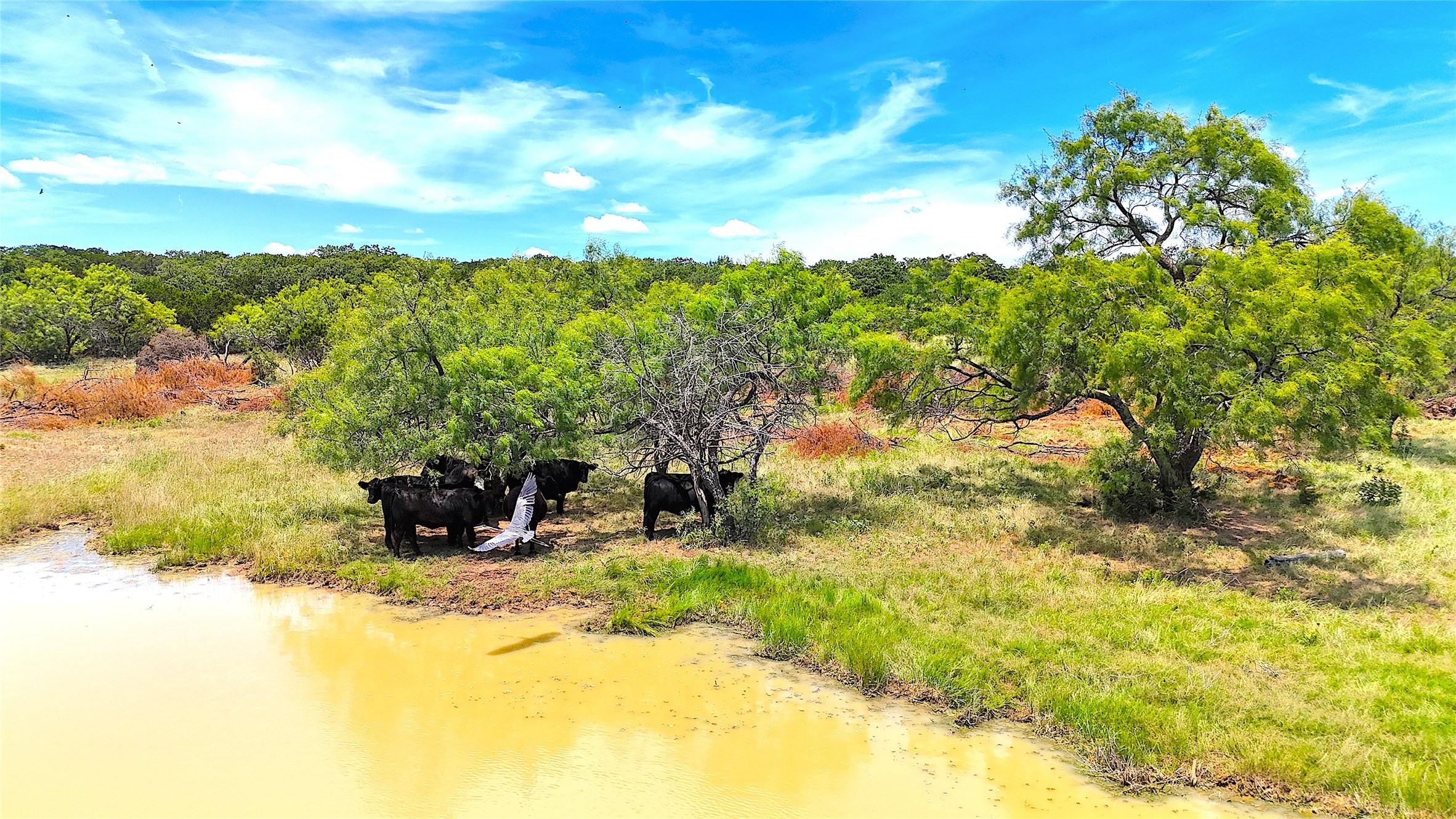 Tbd Tract 5 Hayes Road Mineral Wells TX 76067