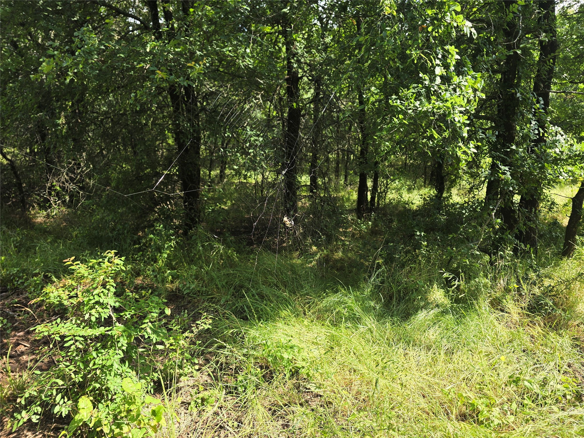 30 Oasis Ct Court Perrin TX 76449