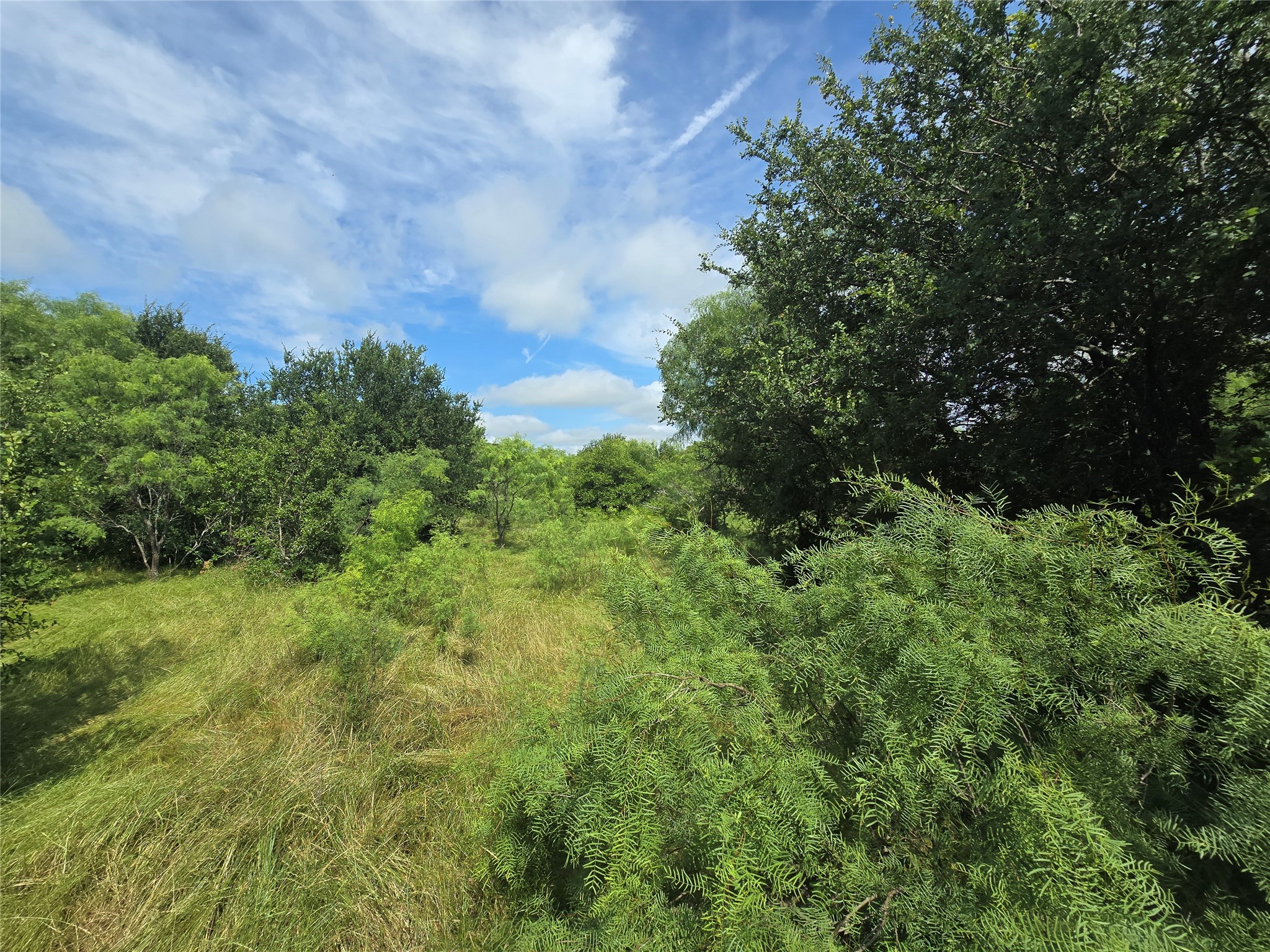 30 Oasis Ct Court Perrin TX 76449