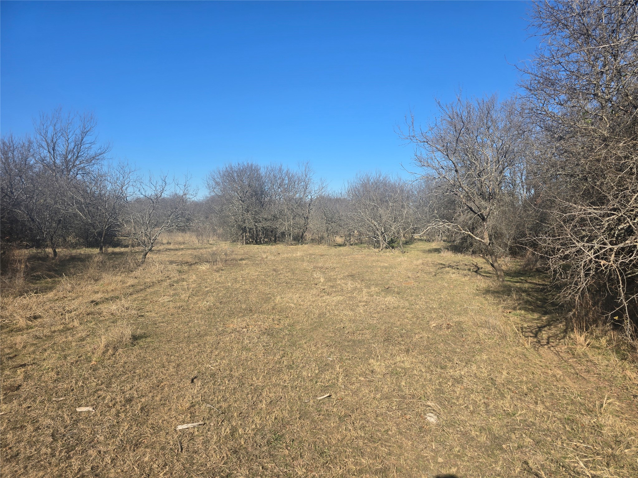 30 Oasis Court Court Perrin TX 76449