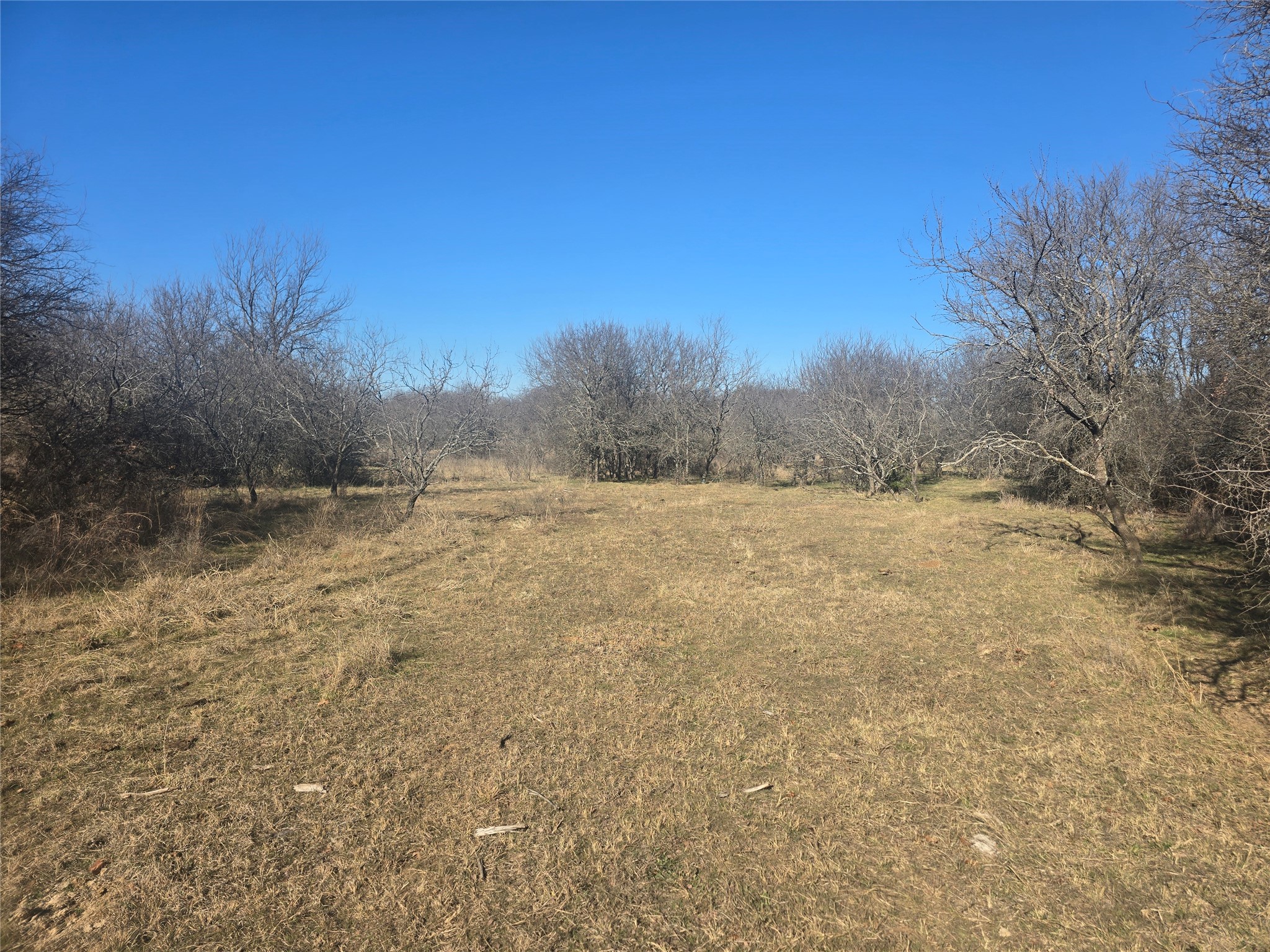 30 Oasis Court Court Perrin TX 76449