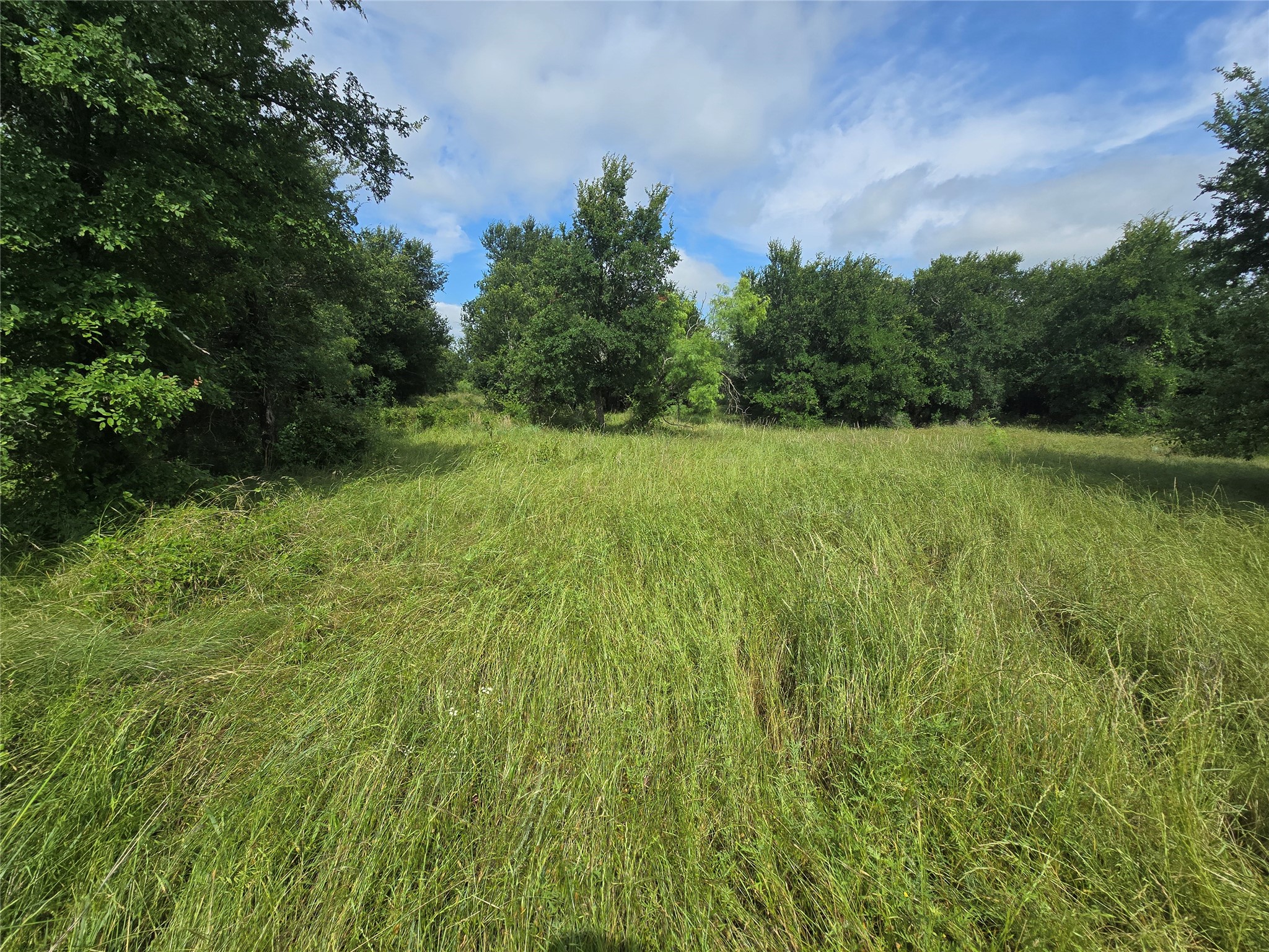 30 Oasis Ct Court Perrin TX 76449
