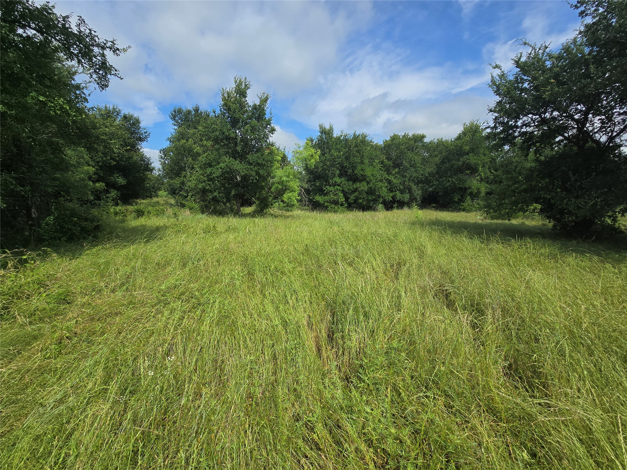 30 Oasis Ct Court Perrin TX 76449