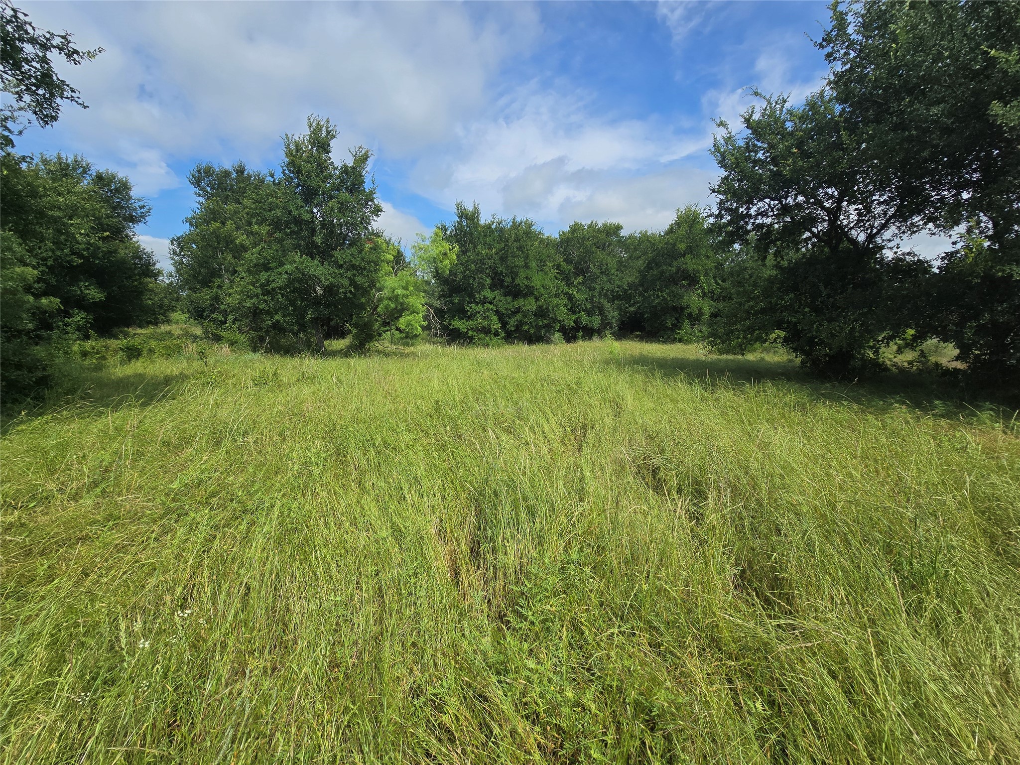 30 Oasis Ct Court Perrin TX 76449