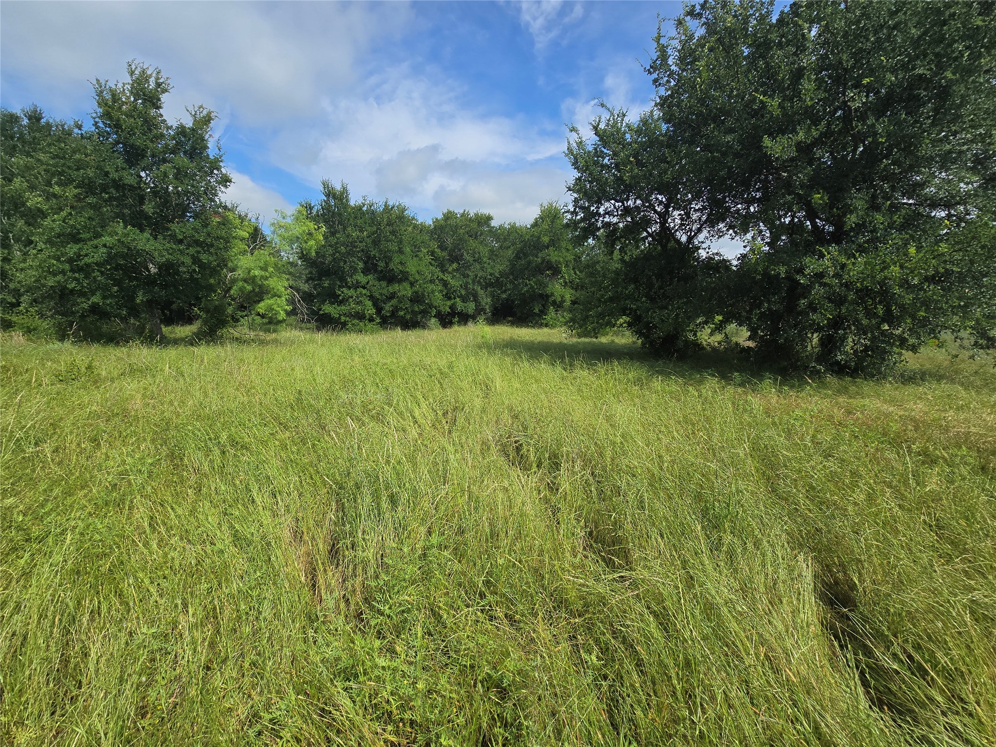 30 Oasis Ct Court Perrin TX 76449