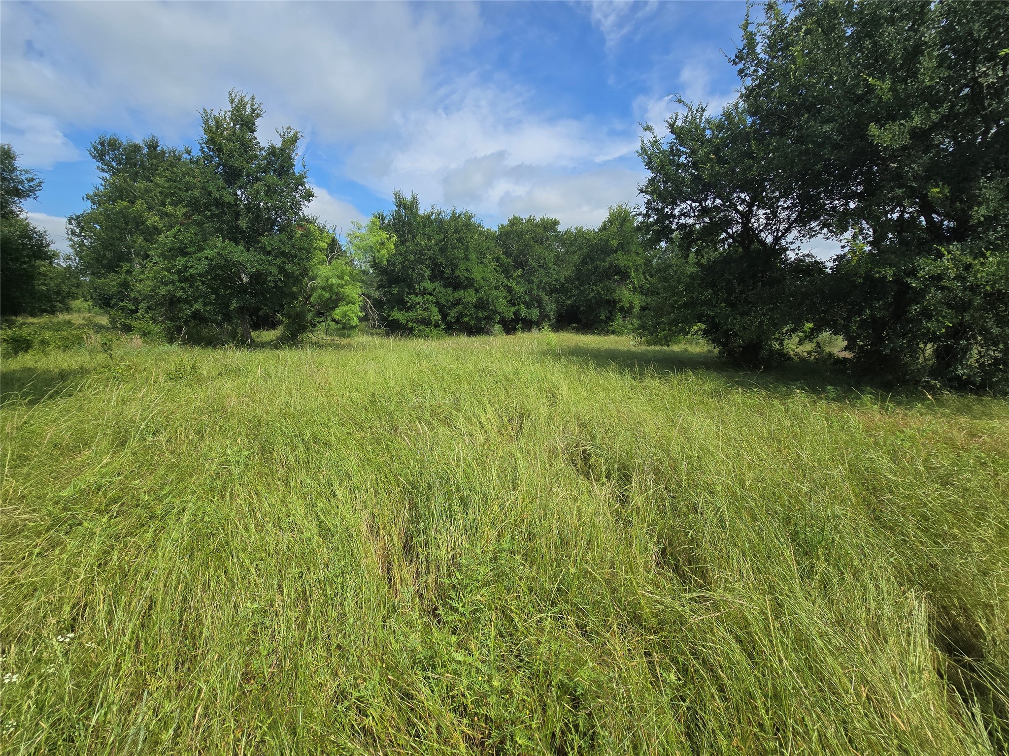 30 Oasis Ct Court Perrin TX 76449