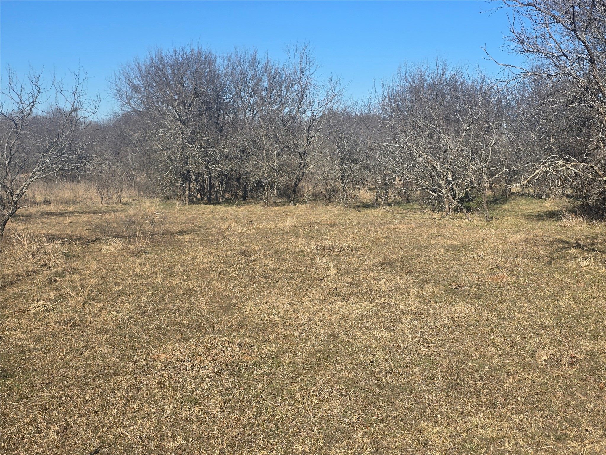 30 Oasis Court Court Perrin TX 76449