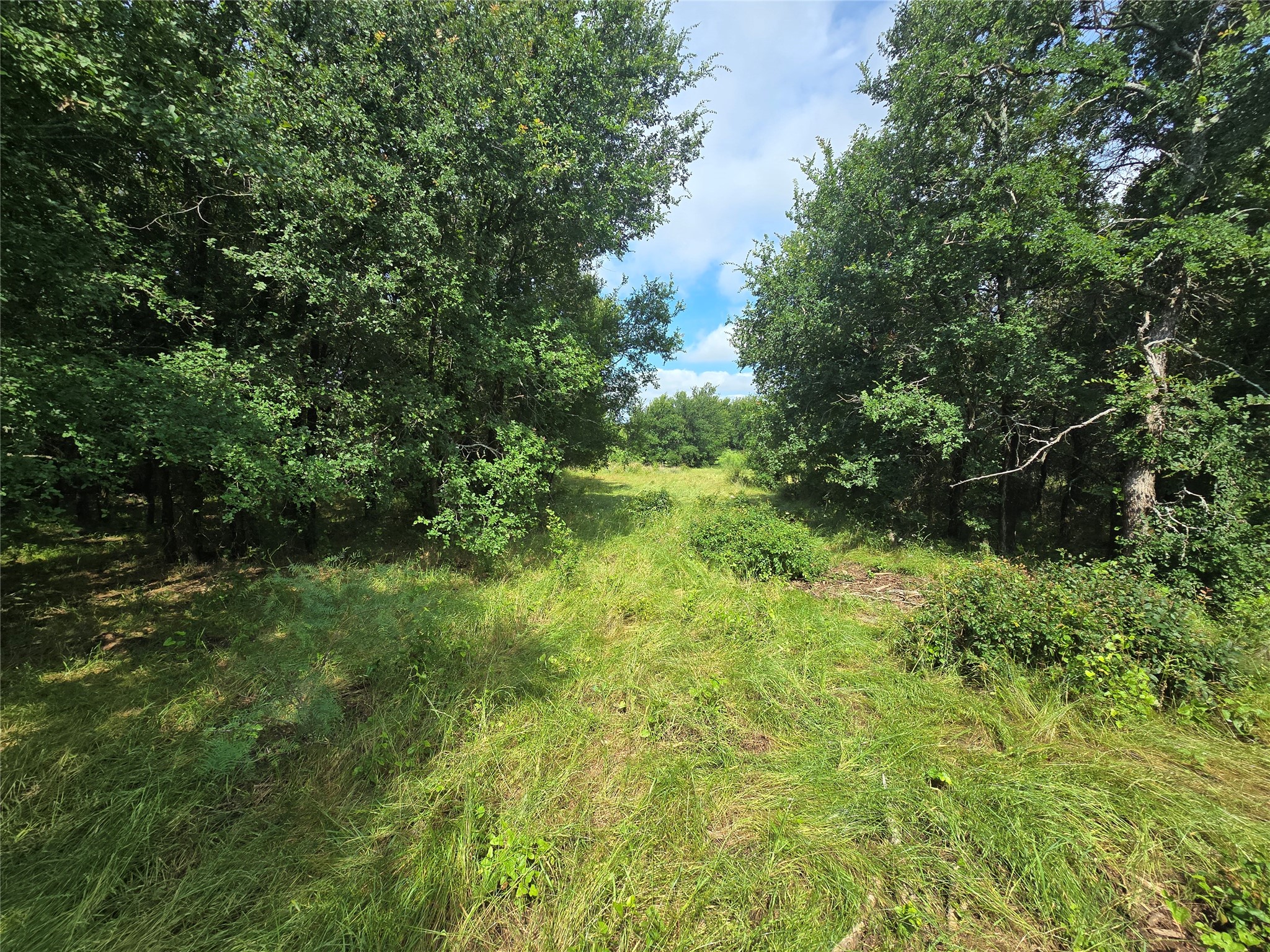 30 Oasis Ct Court Perrin TX 76449