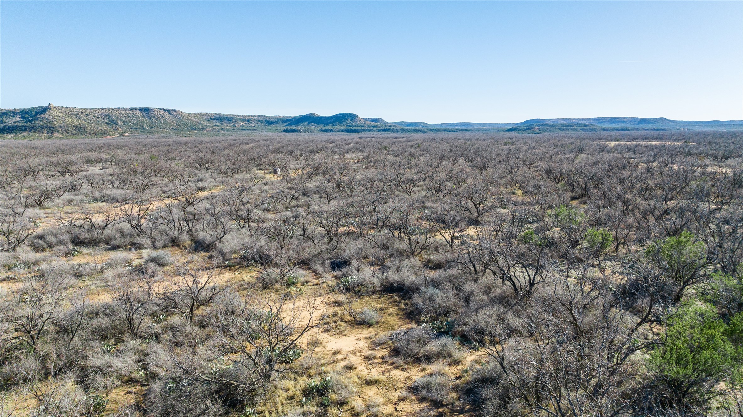 1000 Lometa Road Bronte TX 76933