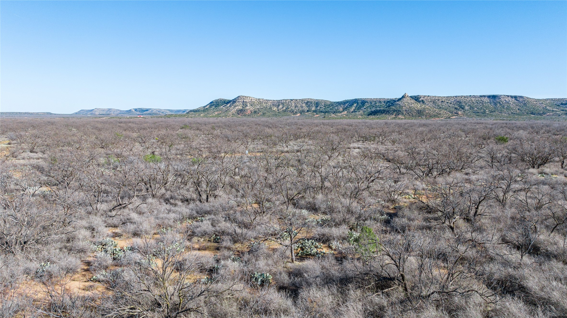 1000 Lometa Road Bronte TX 76933