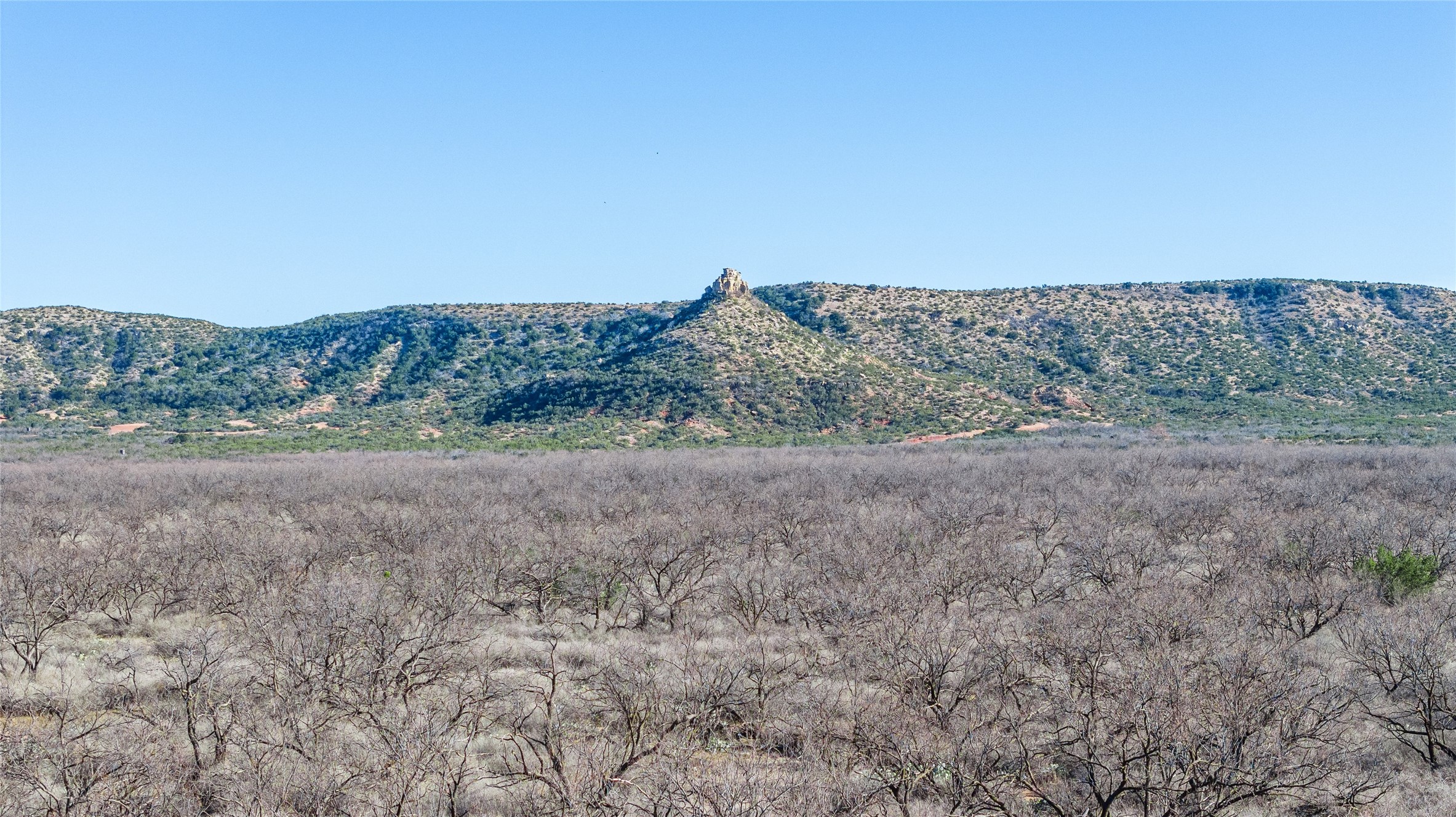 1000 Lometa Road Bronte TX 76933
