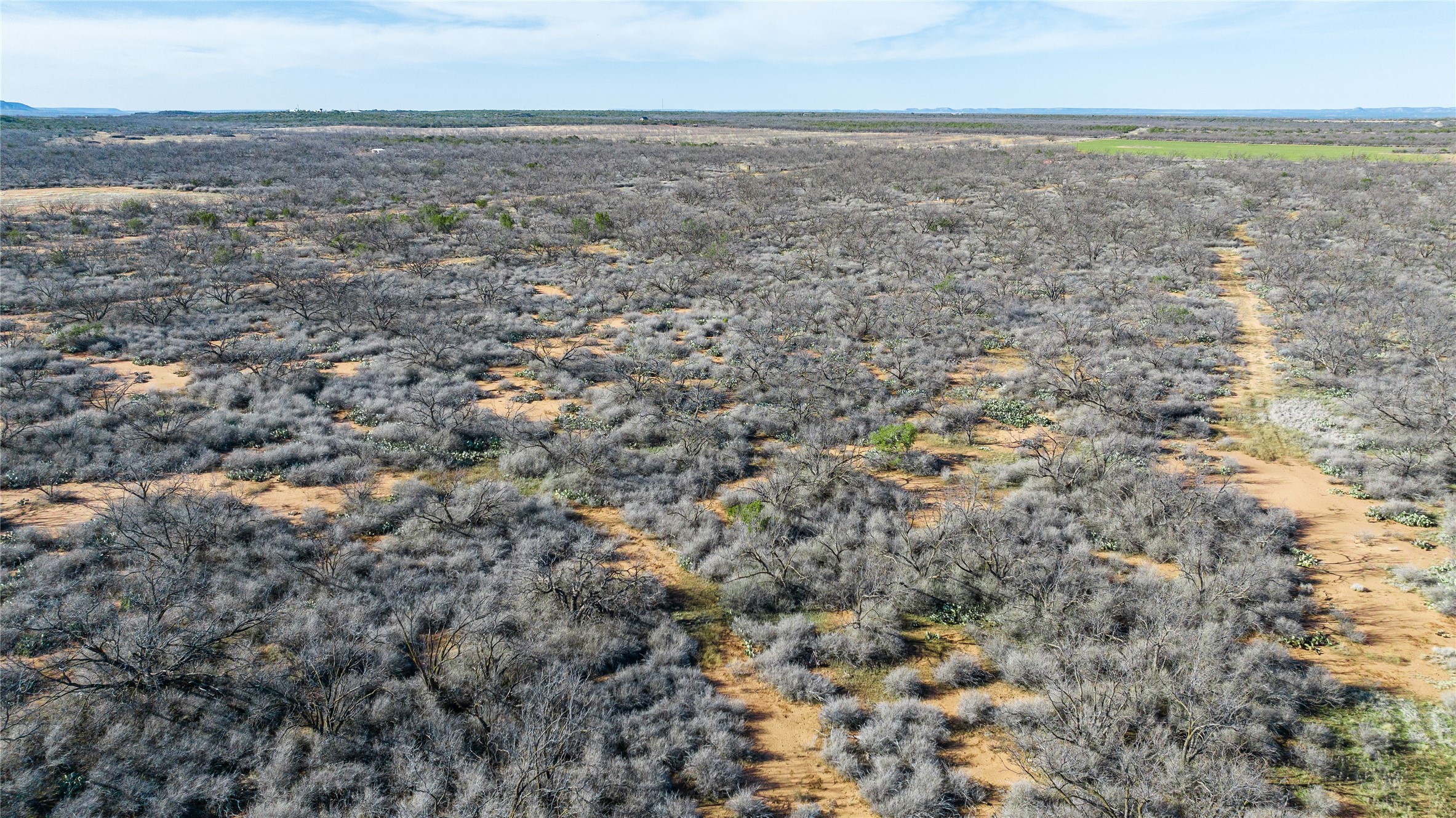 1000 Lometa Road Bronte TX 76933