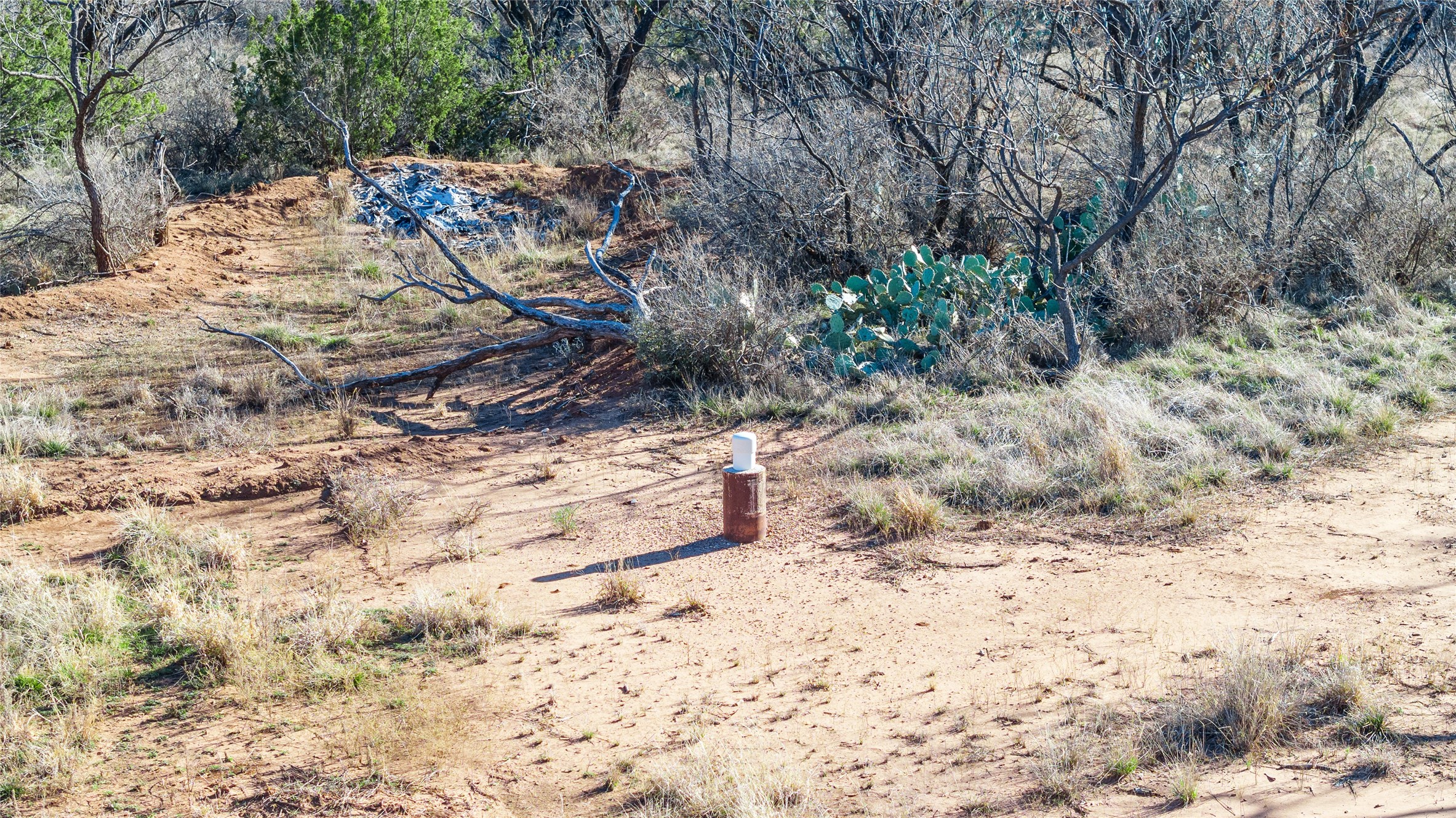 1000 Lometa Road Bronte TX 76933