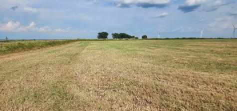 1397 County Road 338 Gainesville TX 76240