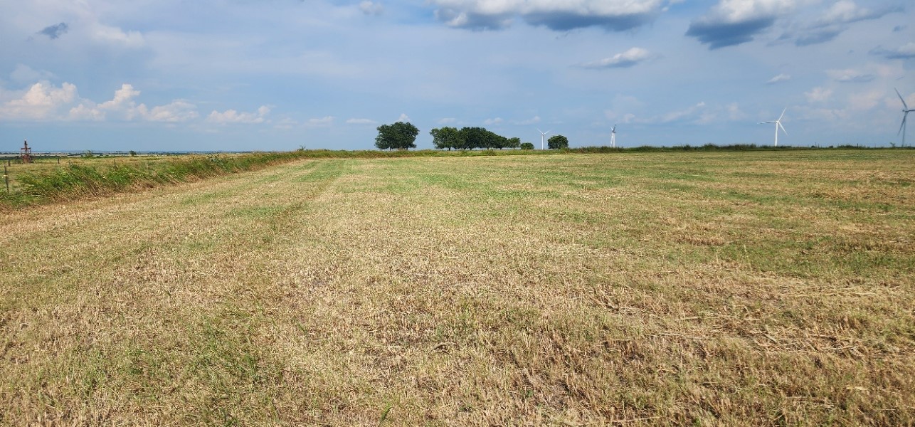 1397 County Road 338 Gainesville TX 76240