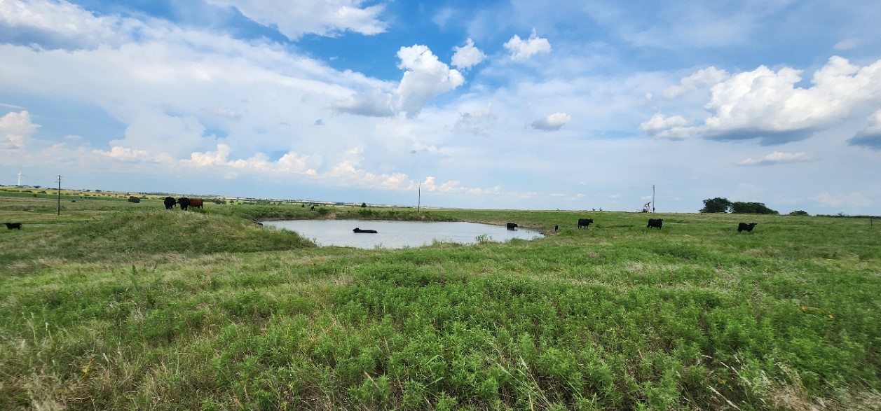 1397 County Road 338 Gainesville TX 76240