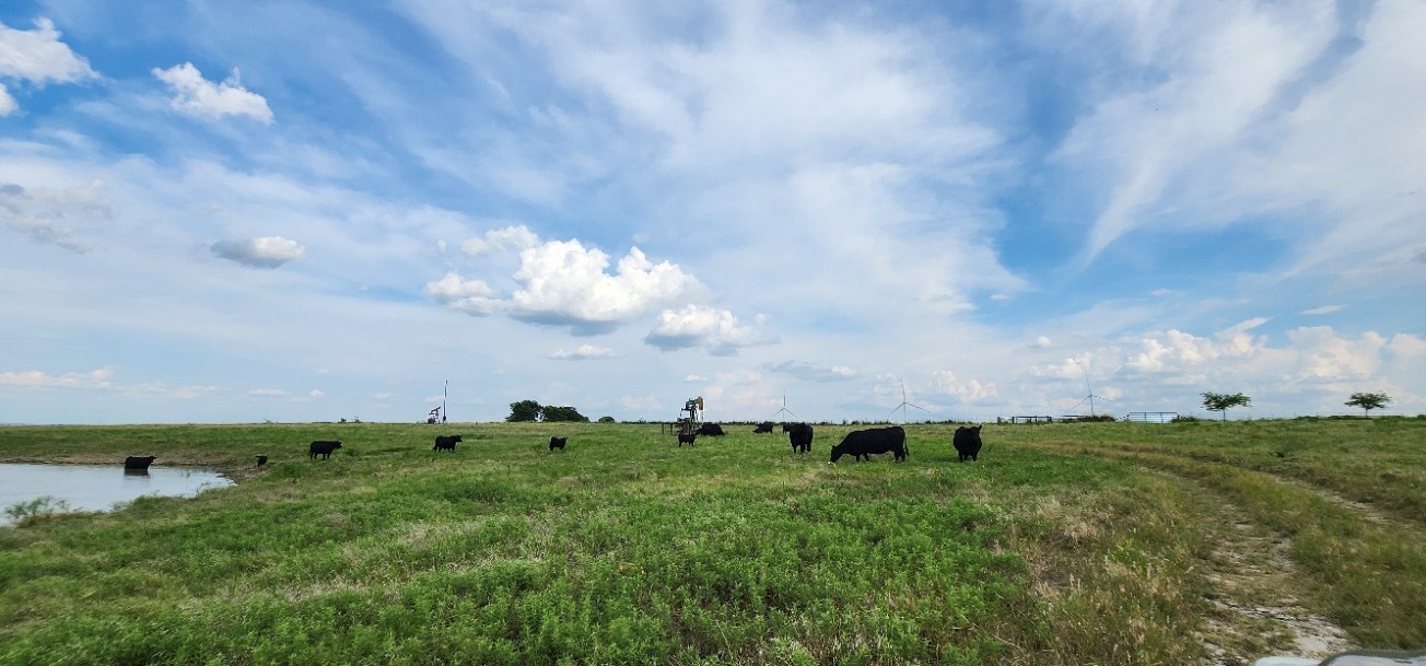 1397 County Road 338 Gainesville TX 76240