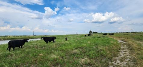 1397 County Road 338 Gainesville TX 76240