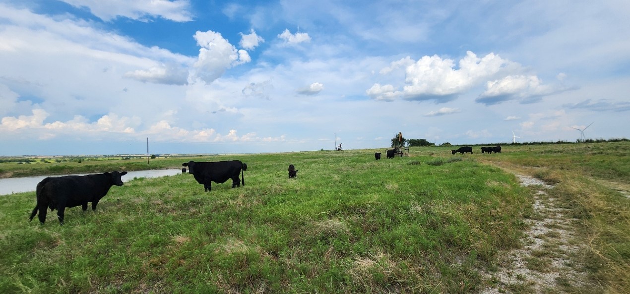 1397 County Road 338 Gainesville TX 76240