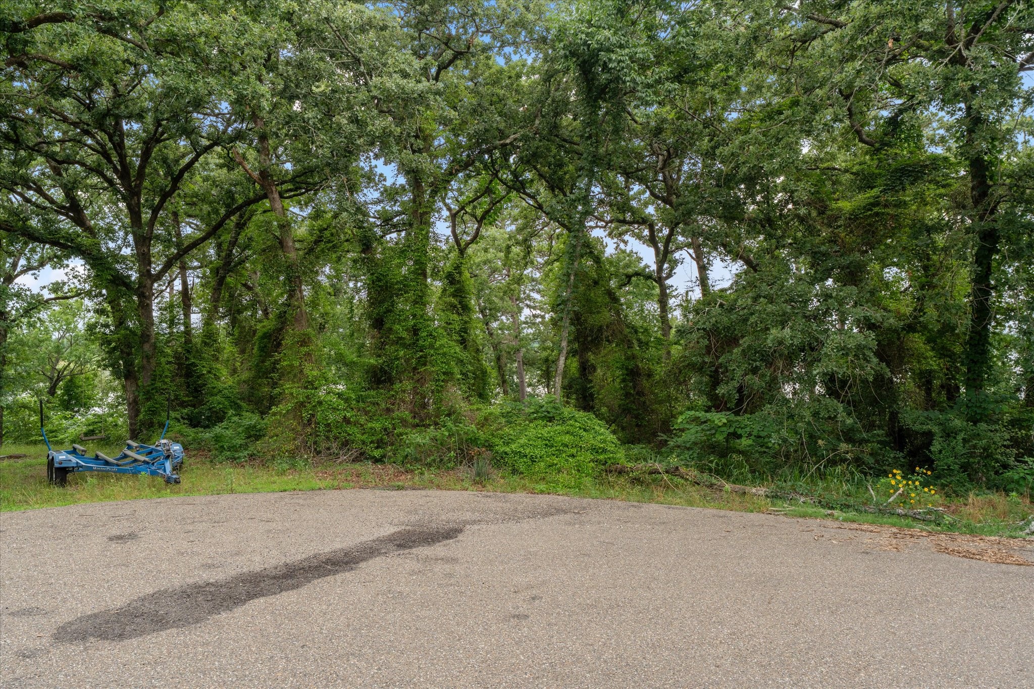 000 Camp Cypress Trail Winnsboro TX 75494