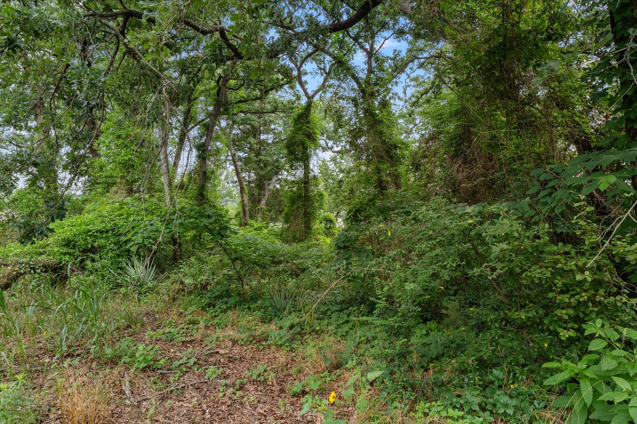 000 Camp Cypress Trail Winnsboro TX 75494