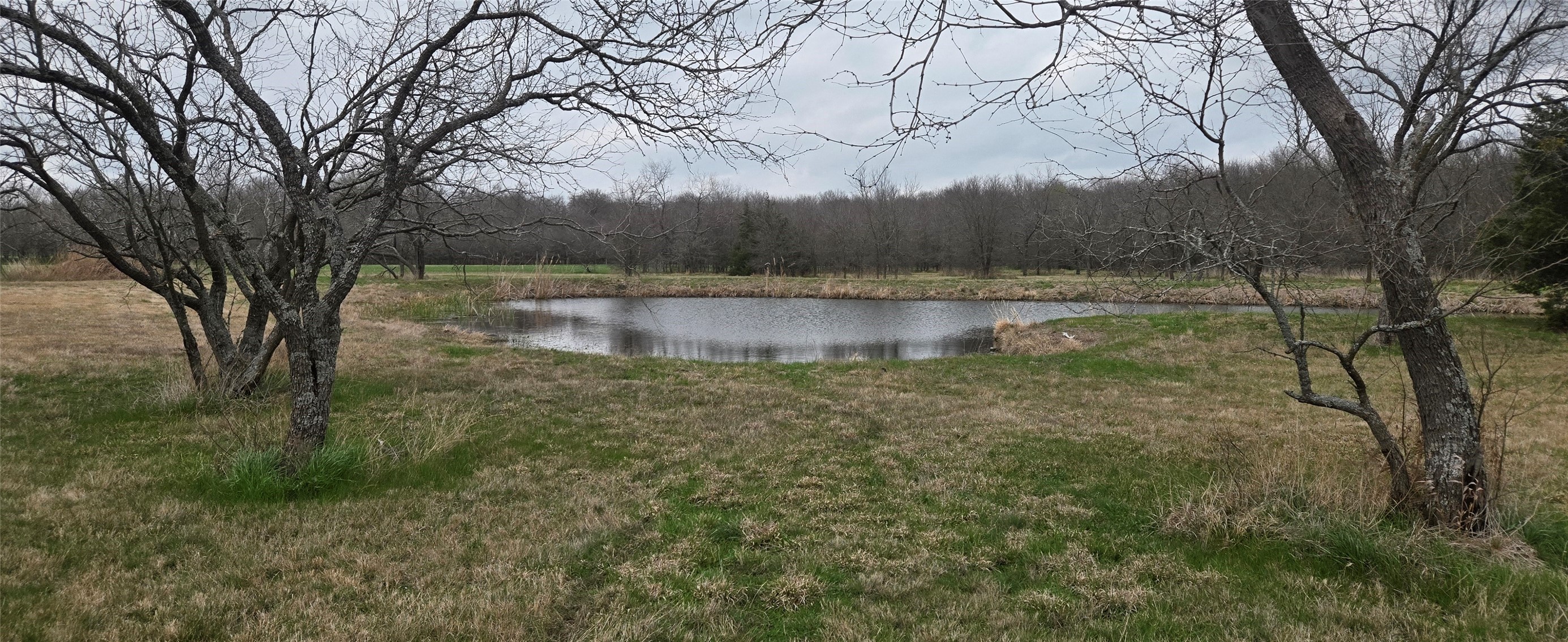 Tbd Buckthorn Drive Quinlan TX 75474