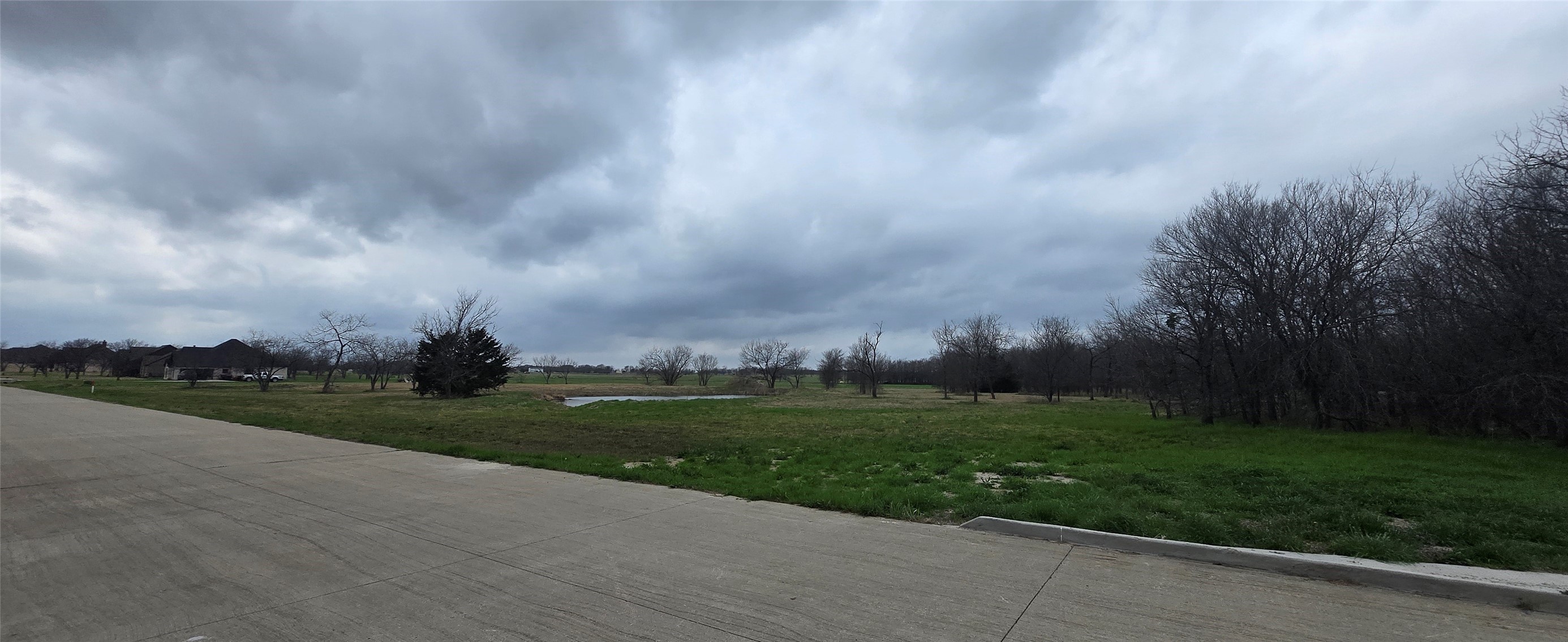 Tbd Buckthorn Drive Quinlan TX 75474