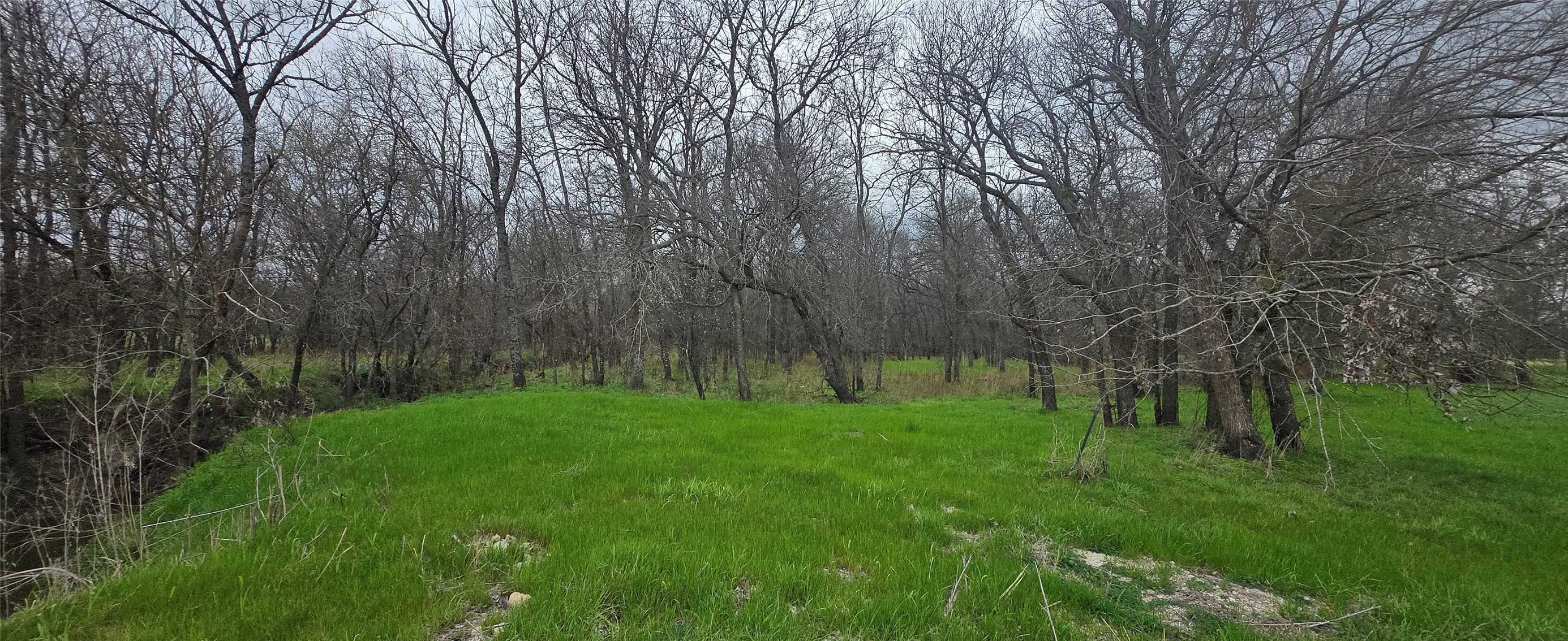 Tbd Buckthorn Drive Quinlan TX 75474