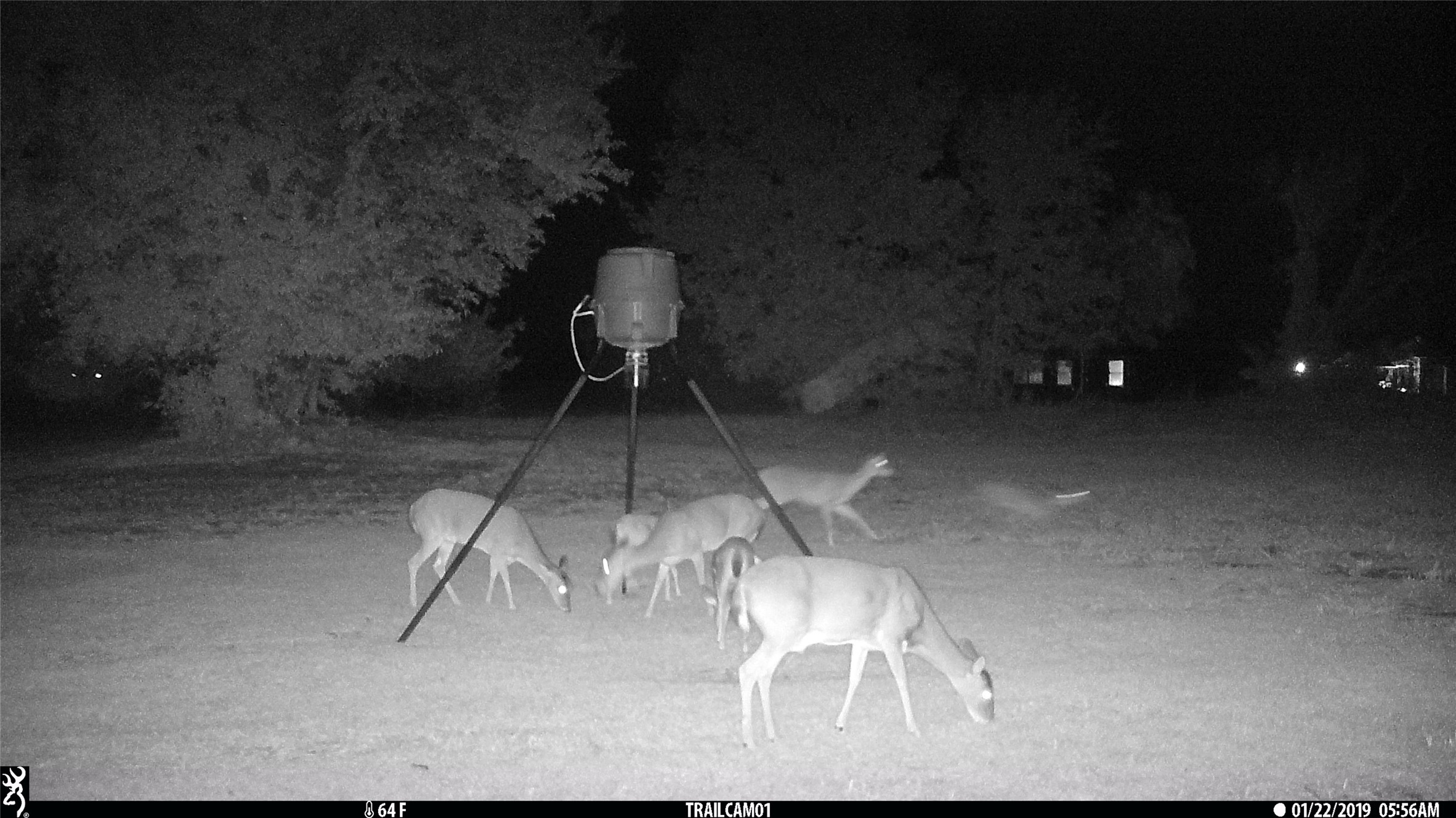 Tbd Buckthorn Drive Quinlan TX 75474