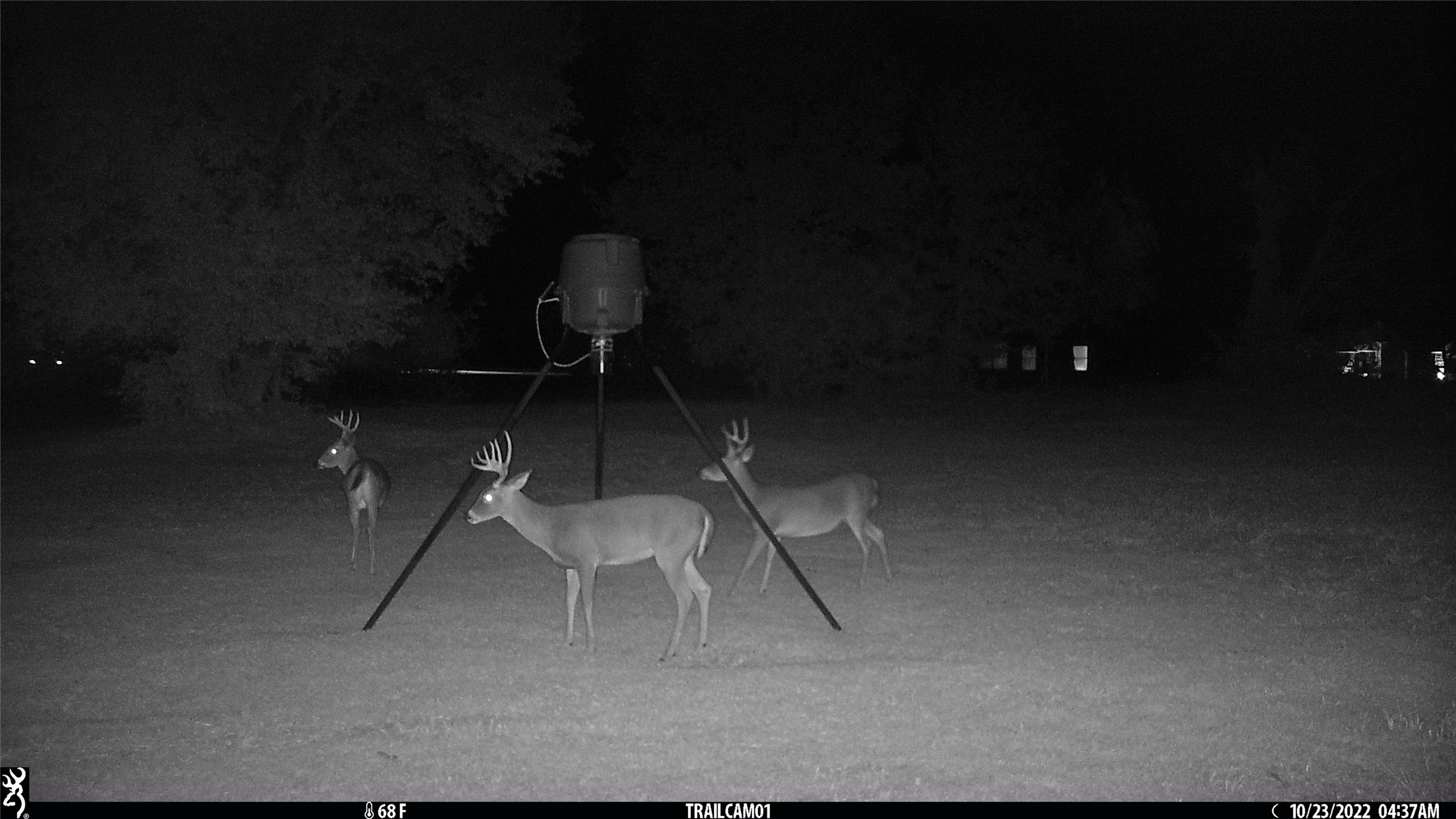 Tbd Buckthorn Drive Quinlan TX 75474